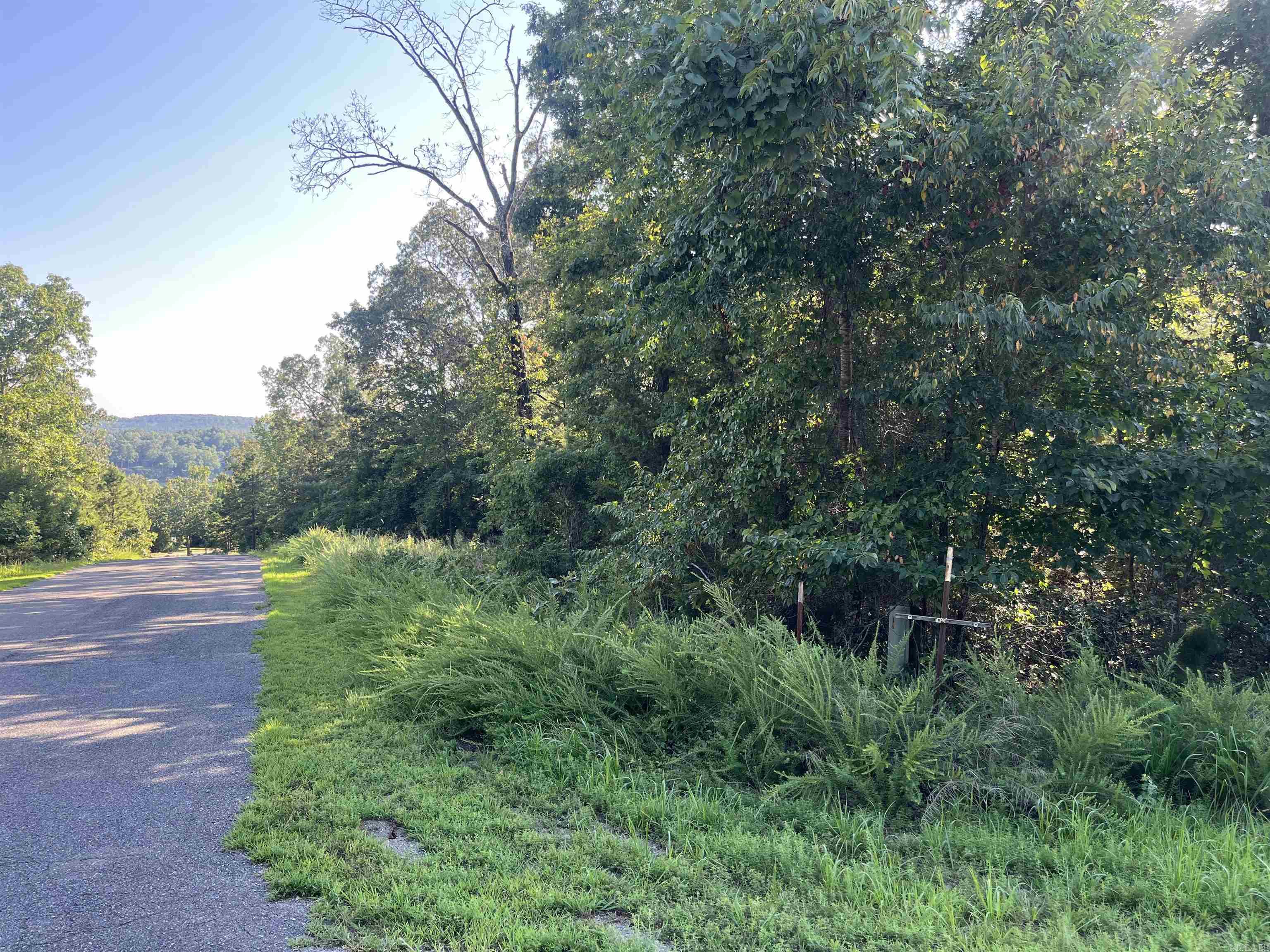11 Talon Lane  Edgemont, AR