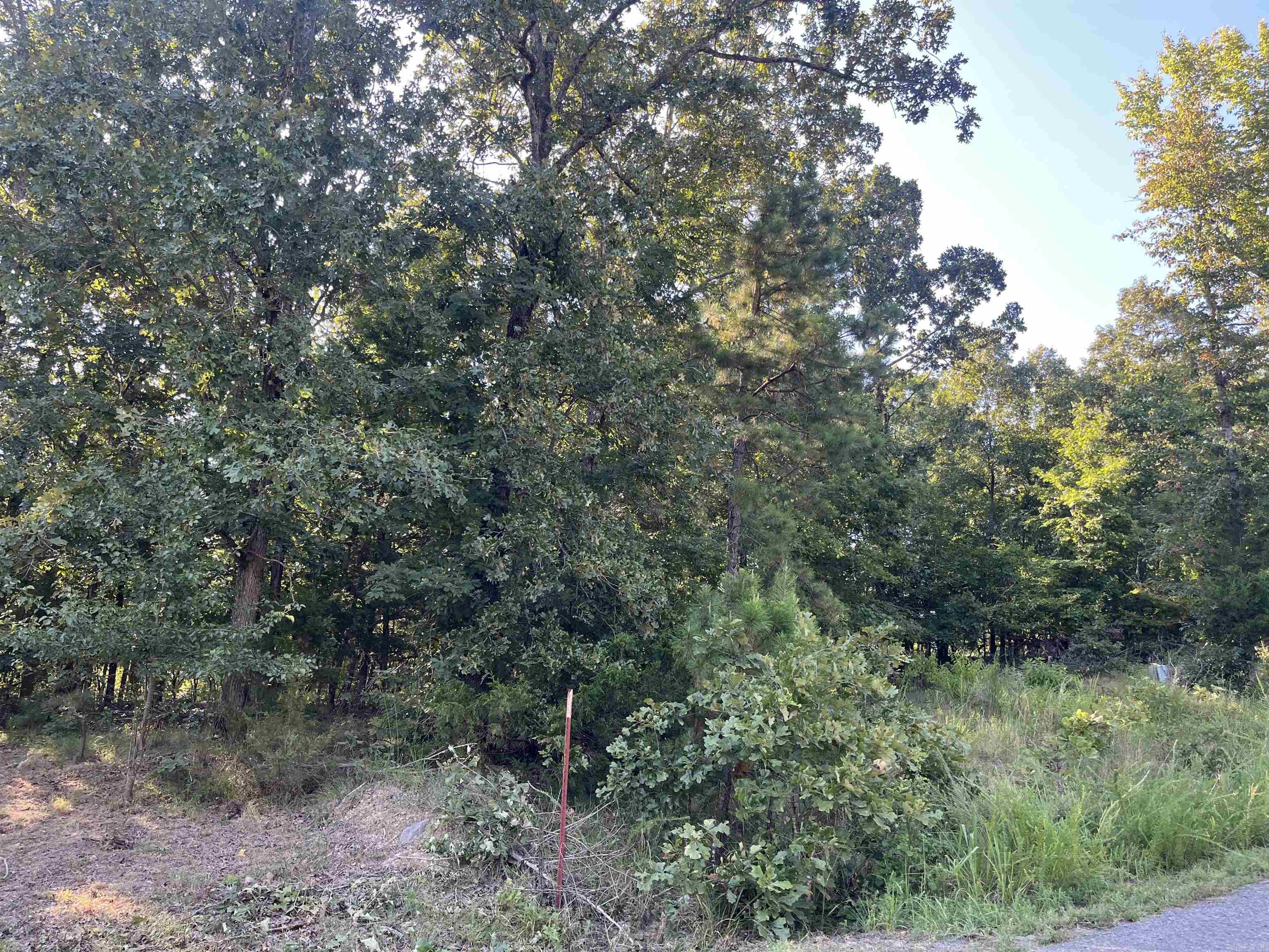 11 Talon Lane  Edgemont, AR