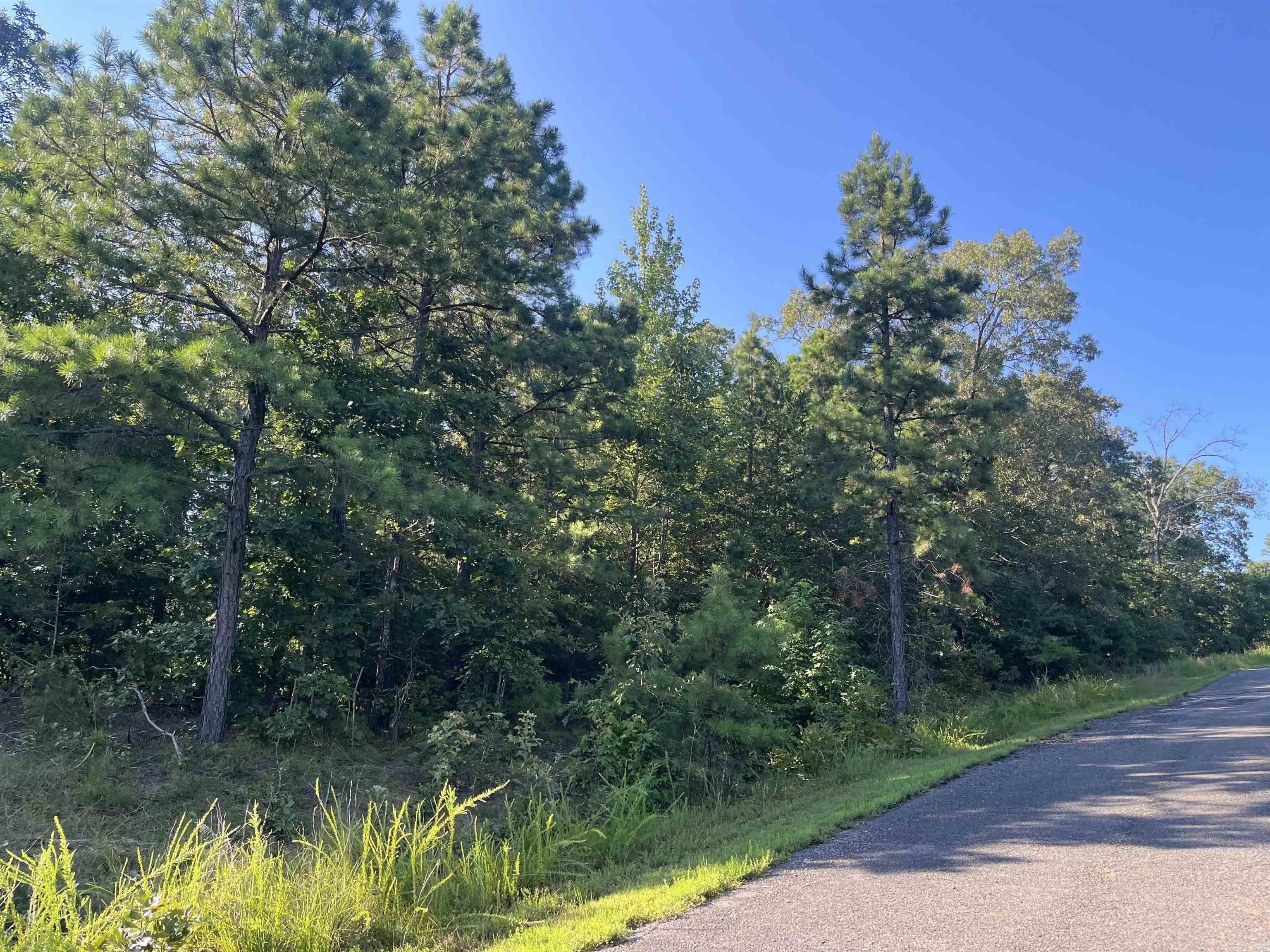 11 Talon Lane  Edgemont, AR
