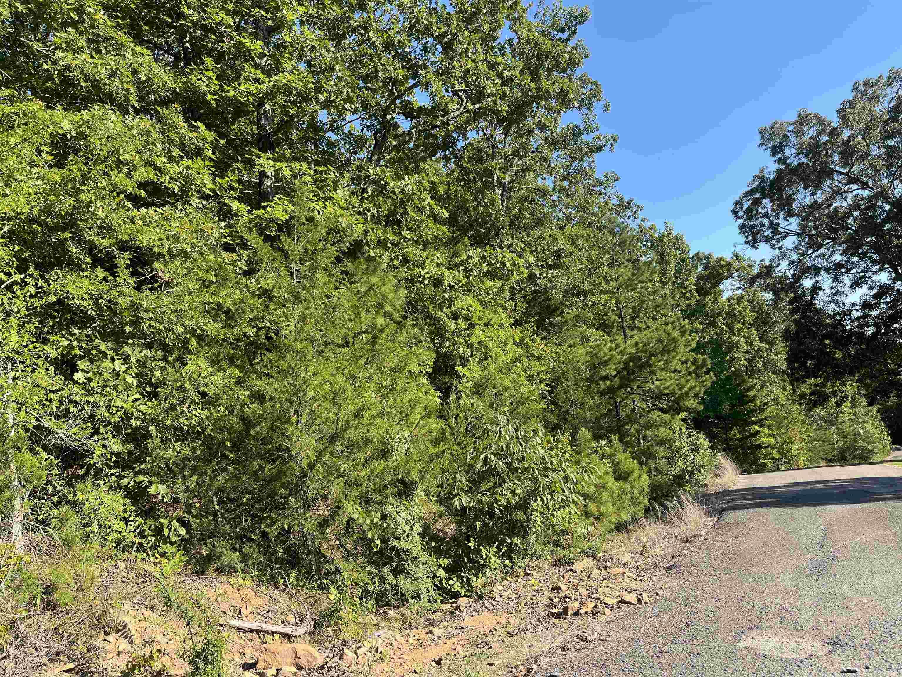 11 Talon Lane  Edgemont, AR