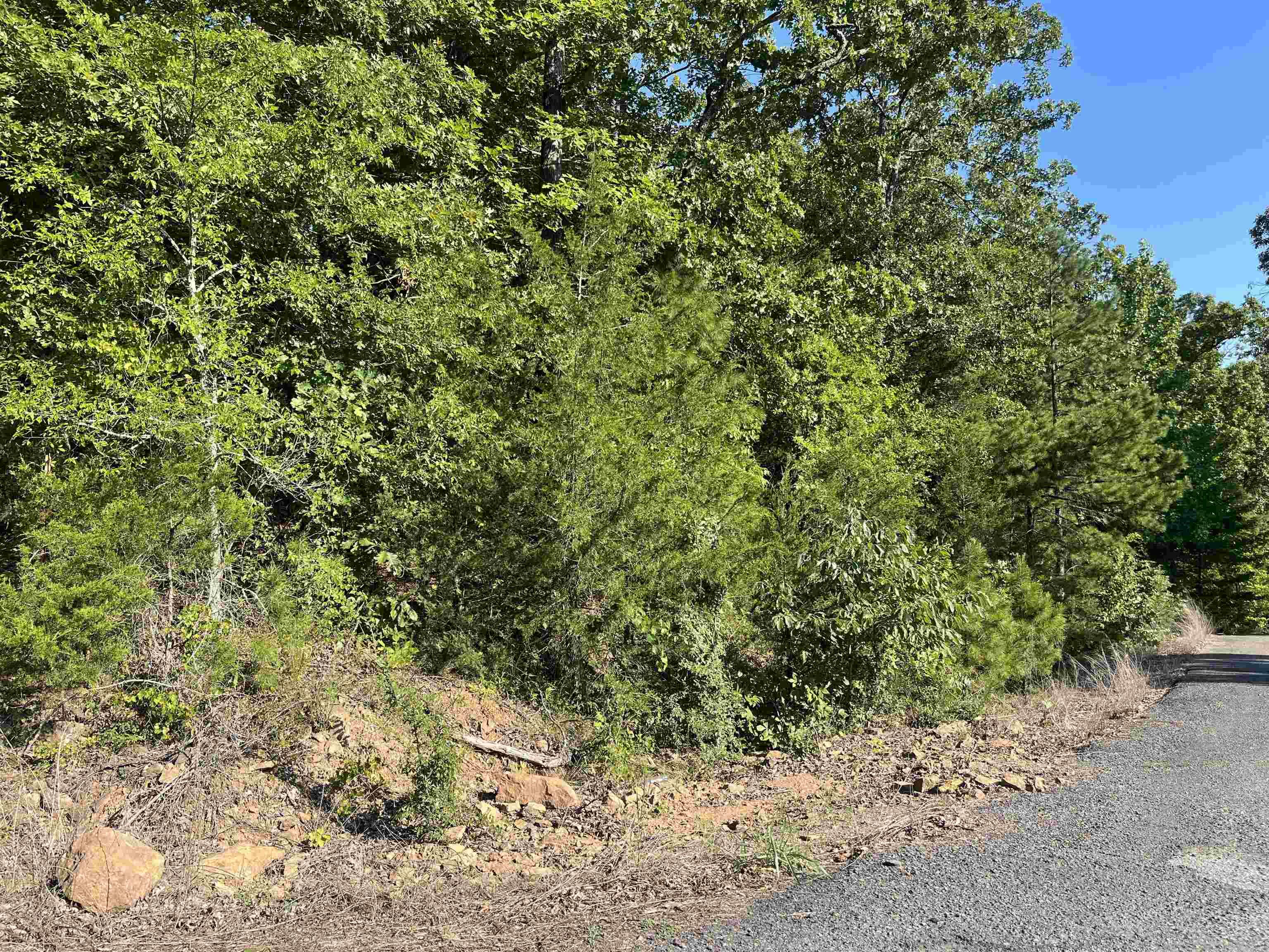 11 Talon Lane  Edgemont, AR