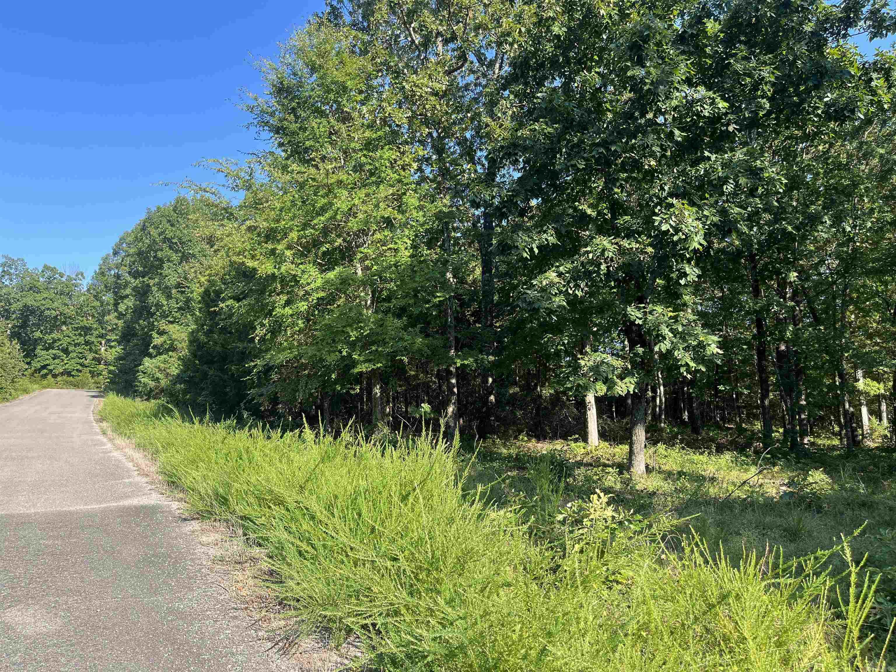 11 Talon Lane  Edgemont, AR