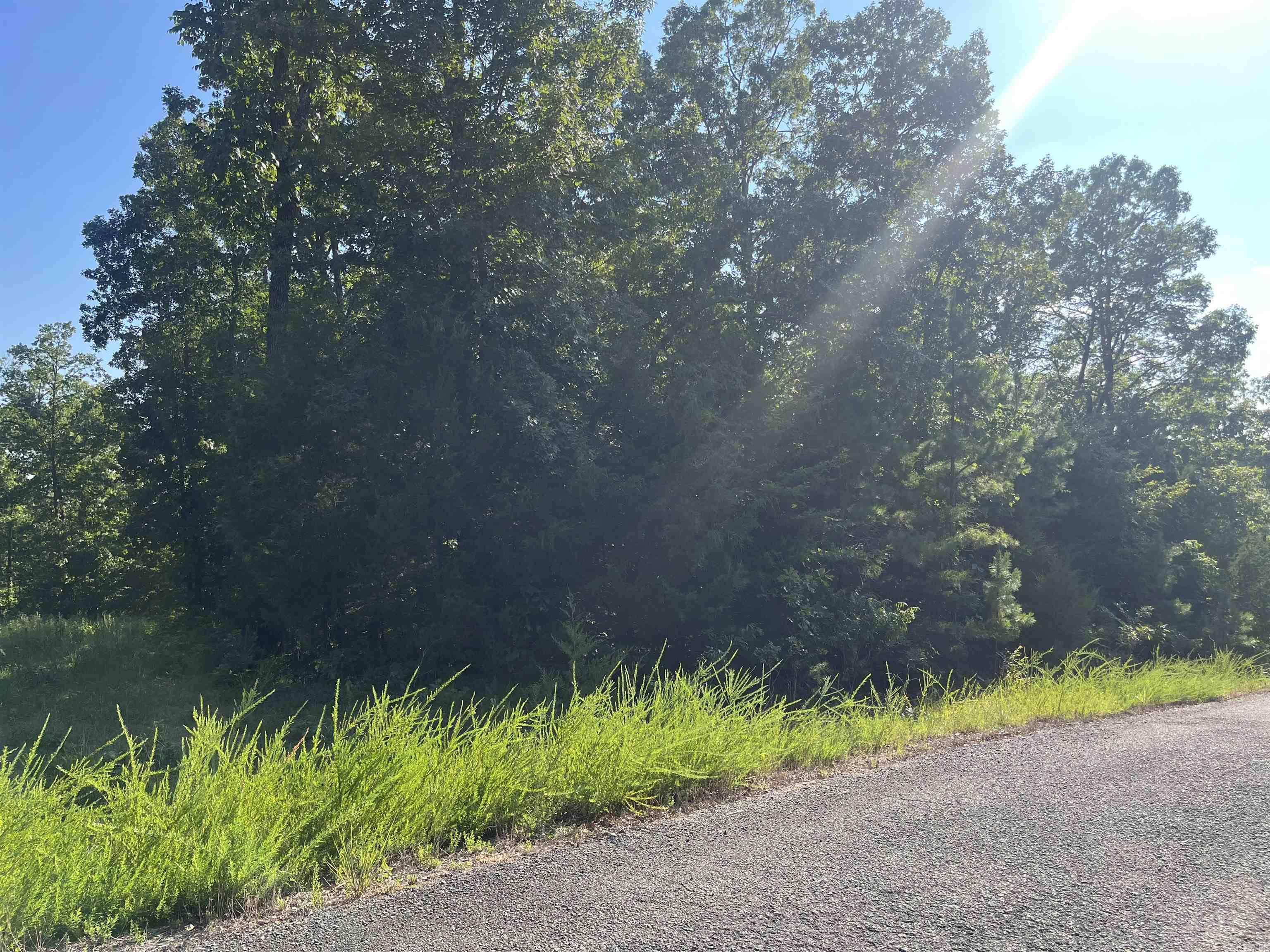 11 Talon Lane  Edgemont, AR