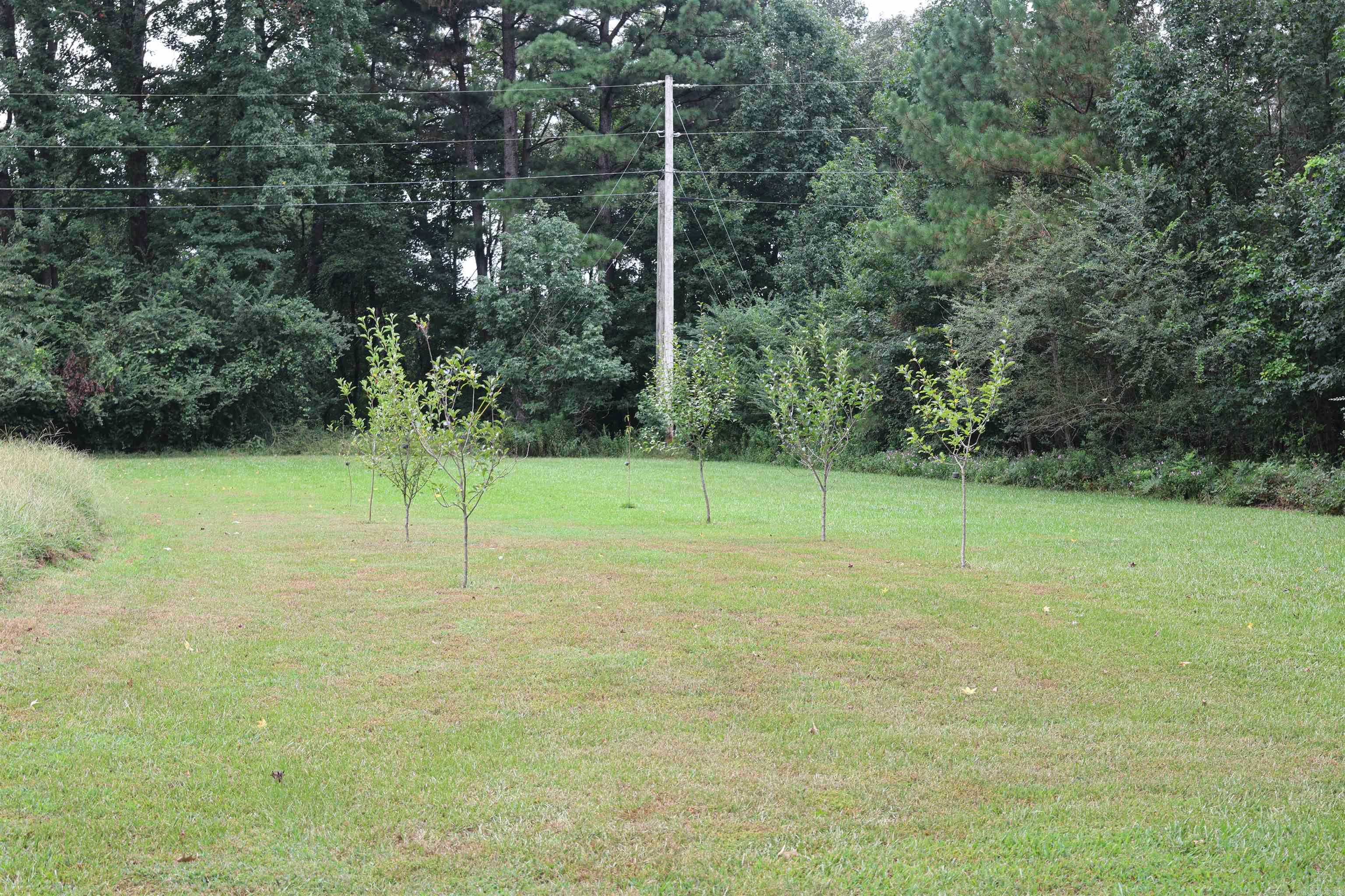 66 S Highway 369 Newhope, AR 71959