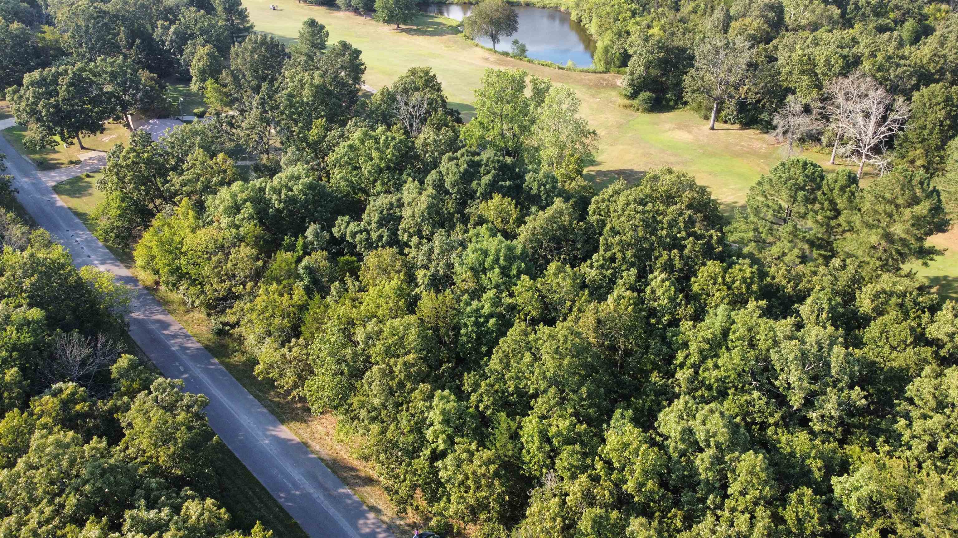 308-310 Airpark  Horseshoe Bend, AR