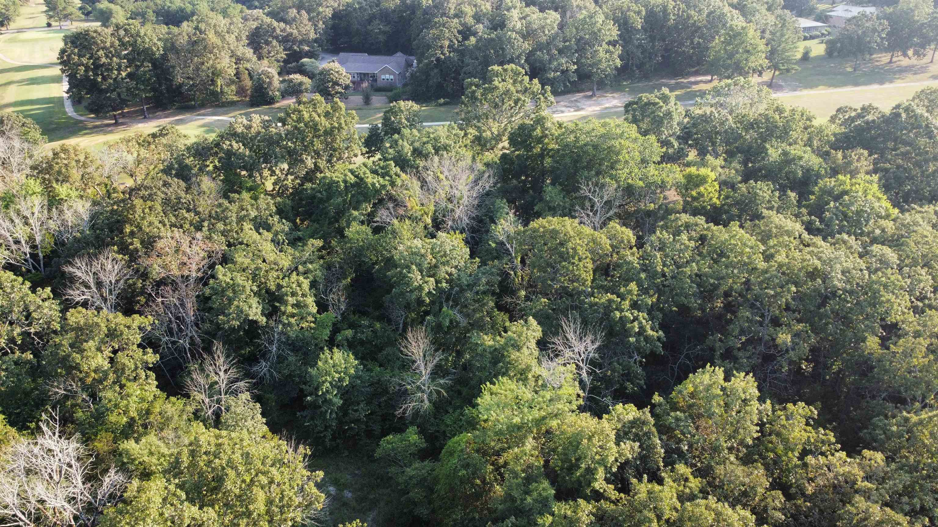 108 Par  Horseshoe Bend, AR