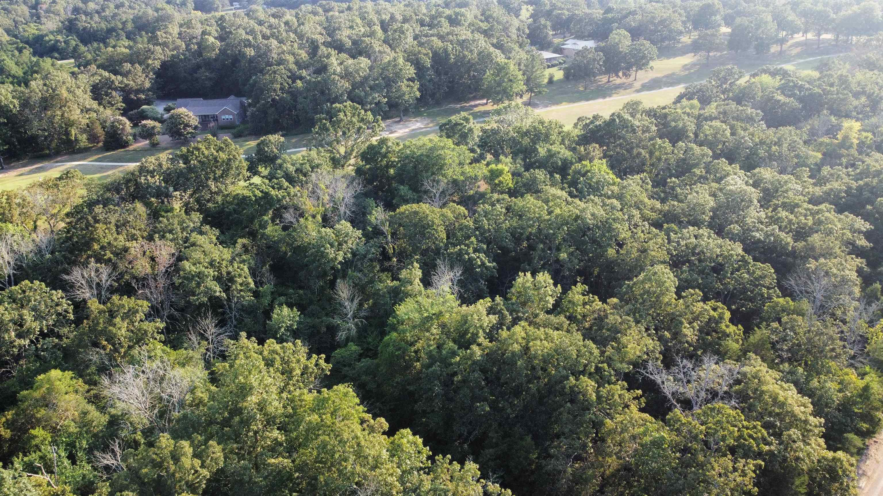 108 Par  Horseshoe Bend, AR