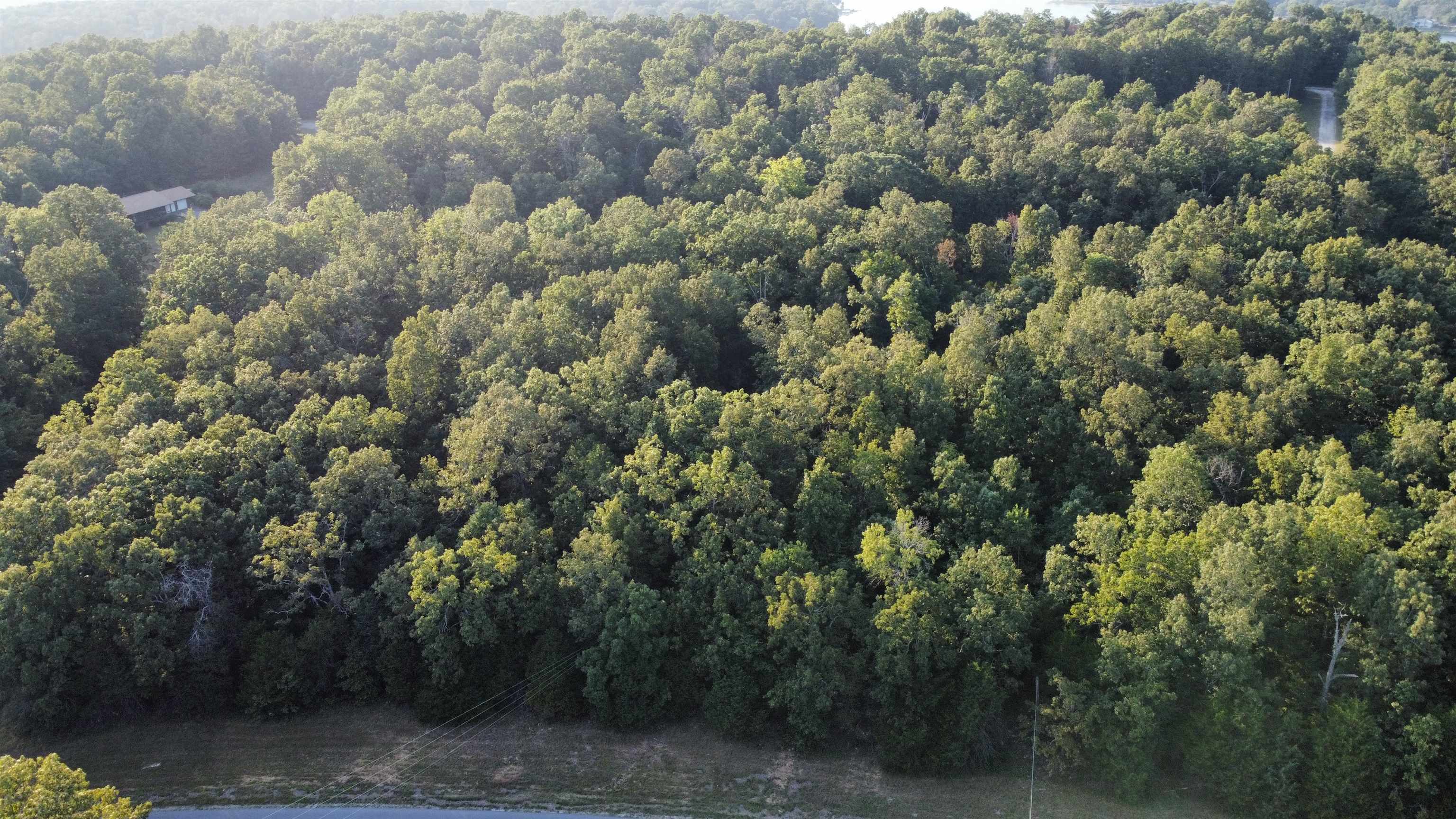 1205 Tri Lakes  Horseshoe Bend, AR