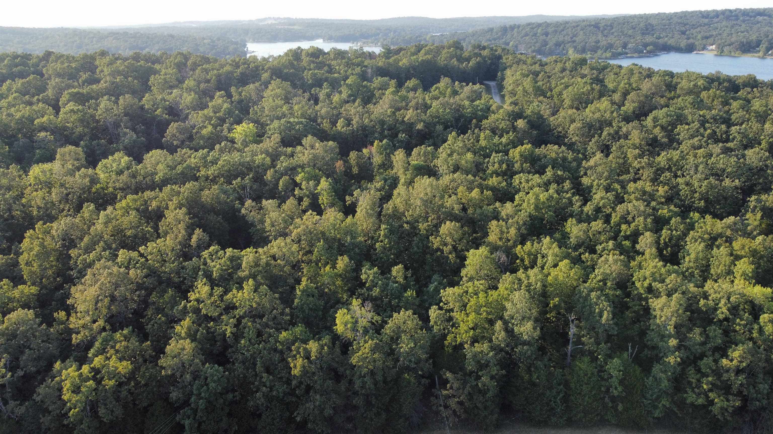 1205 Tri Lakes  Horseshoe Bend, AR
