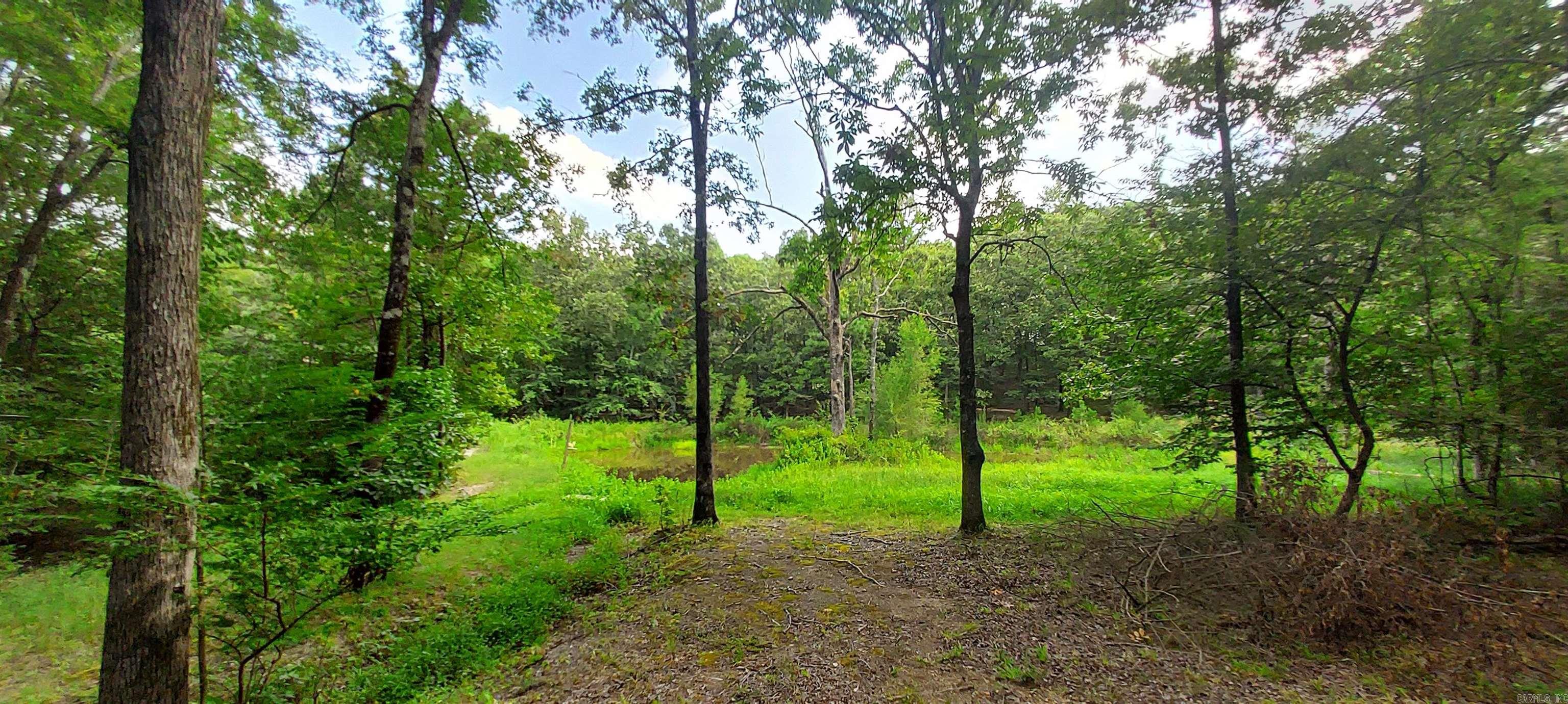 372 Polk Road 412  Mena, AR