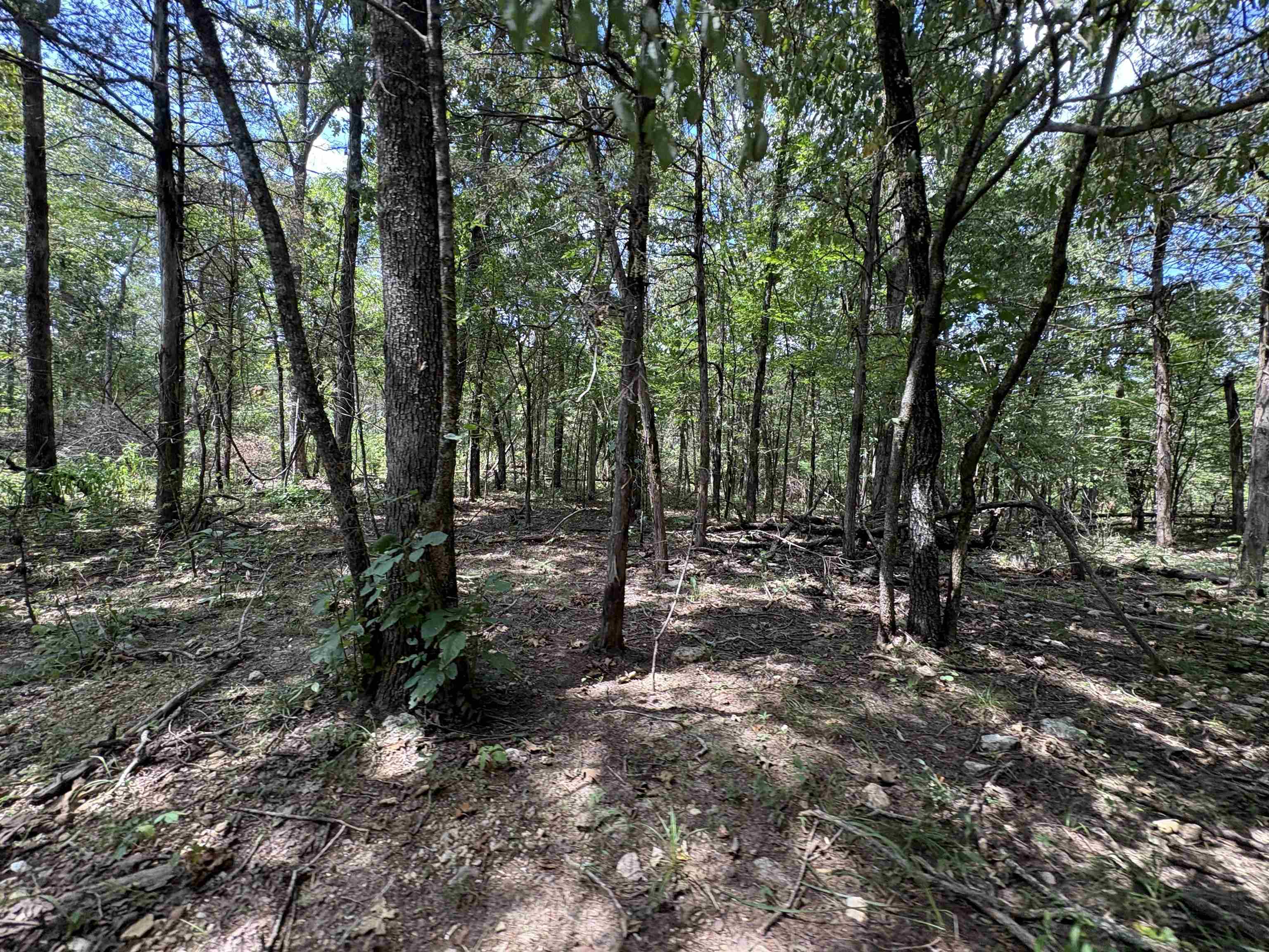 1736 Hwy 354  Hardy, AR