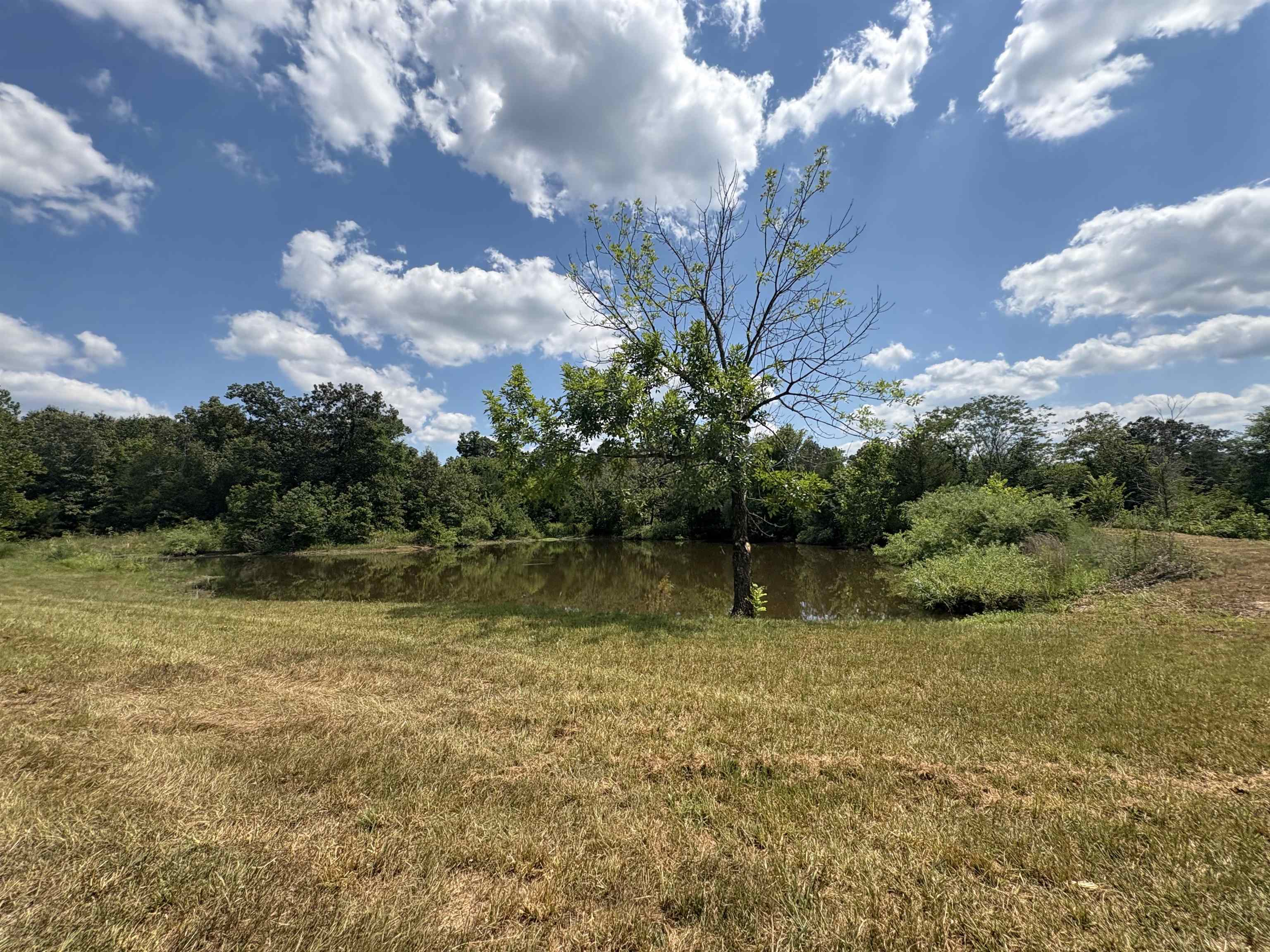 1736 Hwy 354  Hardy, AR