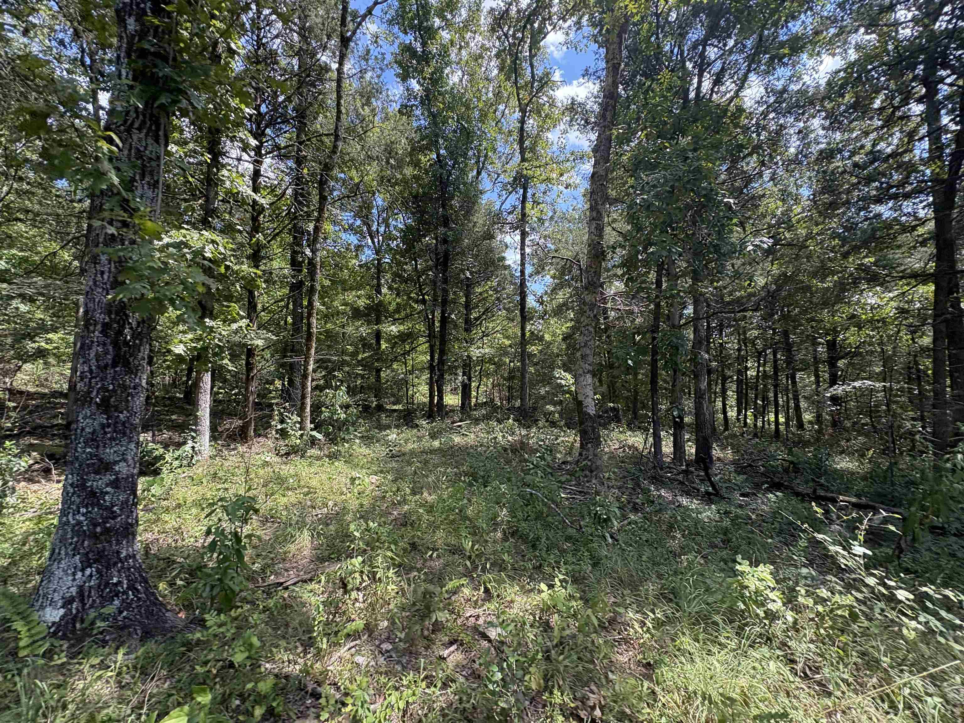 1736 Hwy 354  Hardy, AR