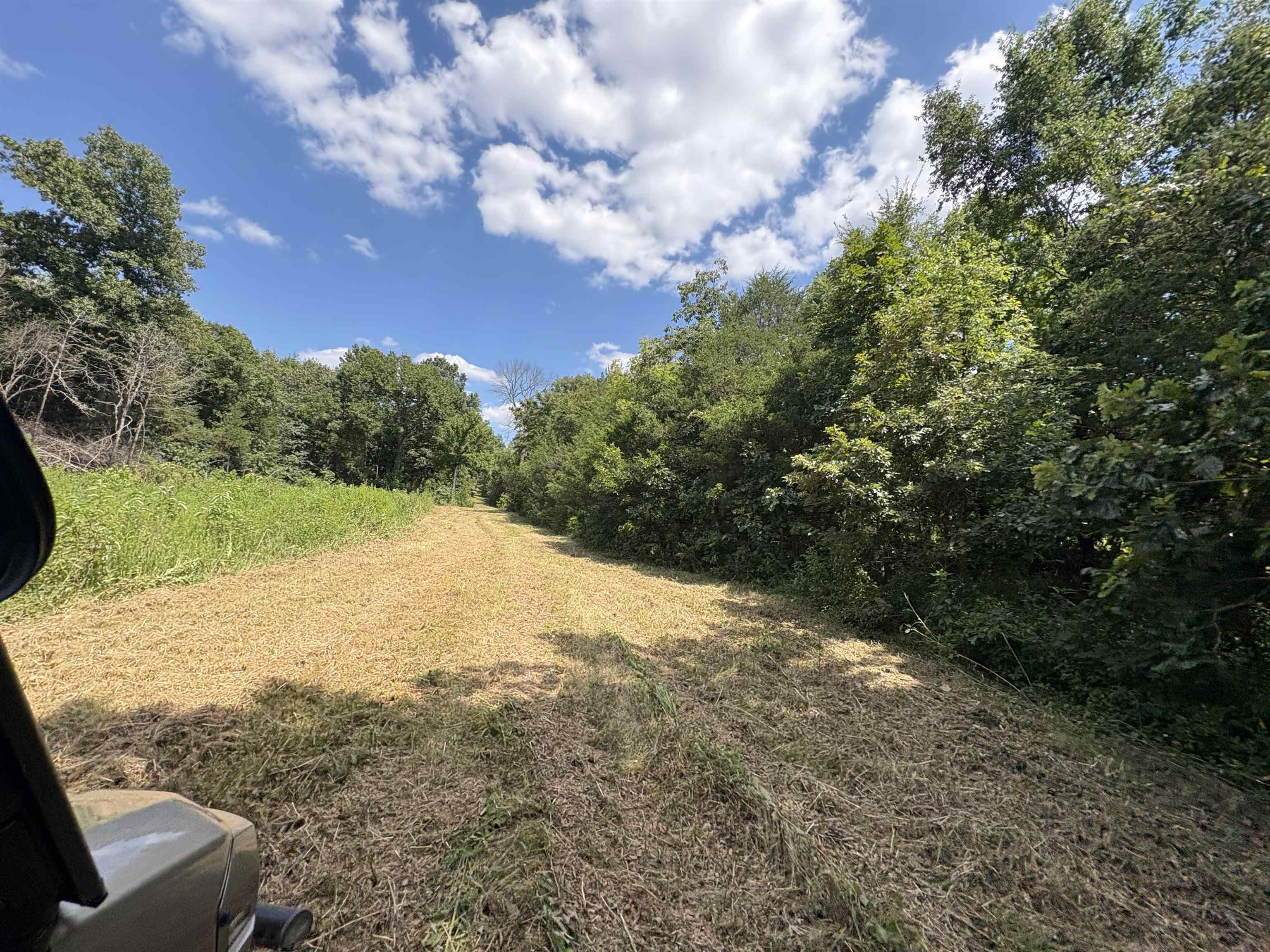 1736 Hwy 354  Hardy, AR