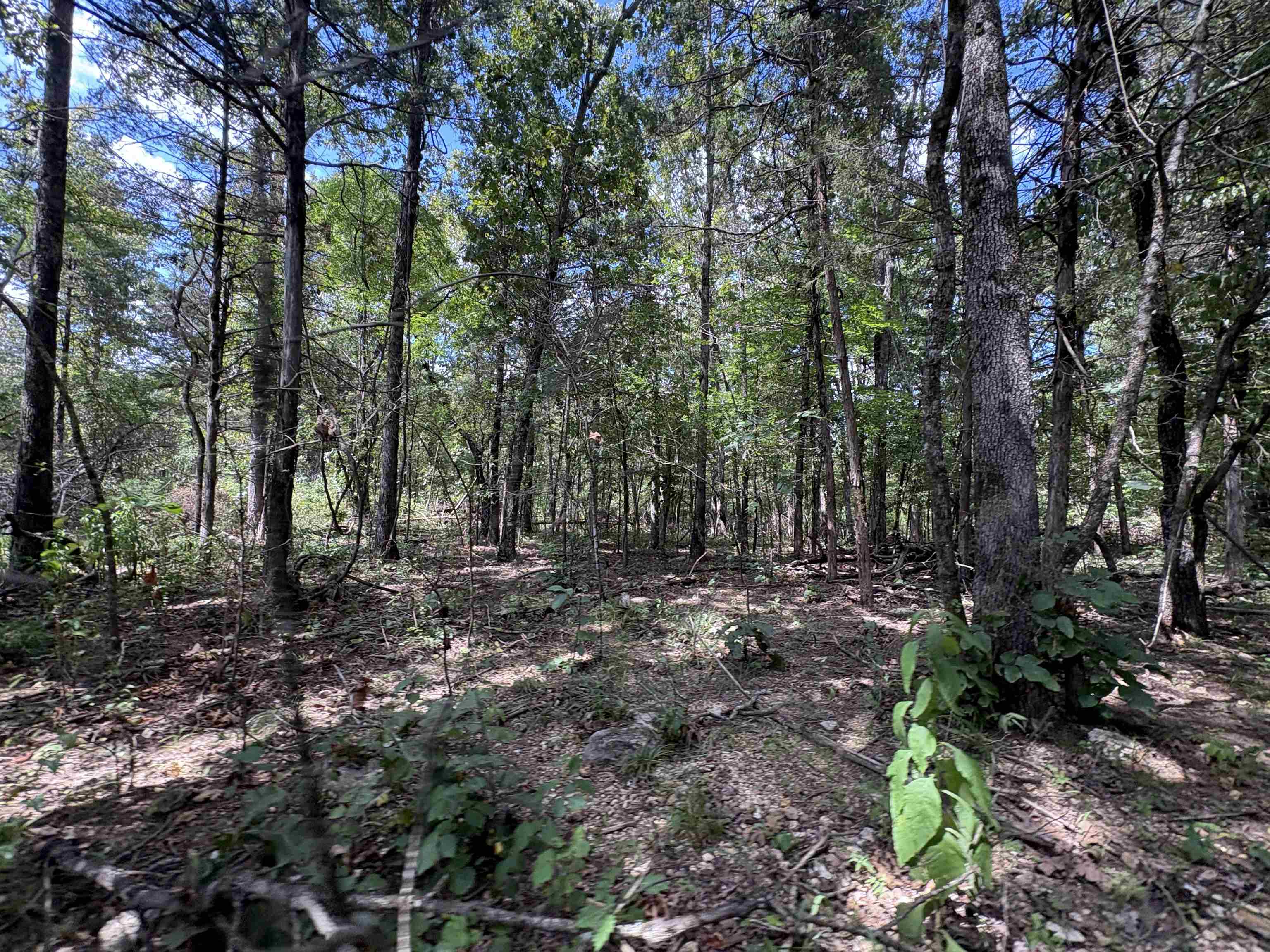 1736 Hwy 354  Hardy, AR