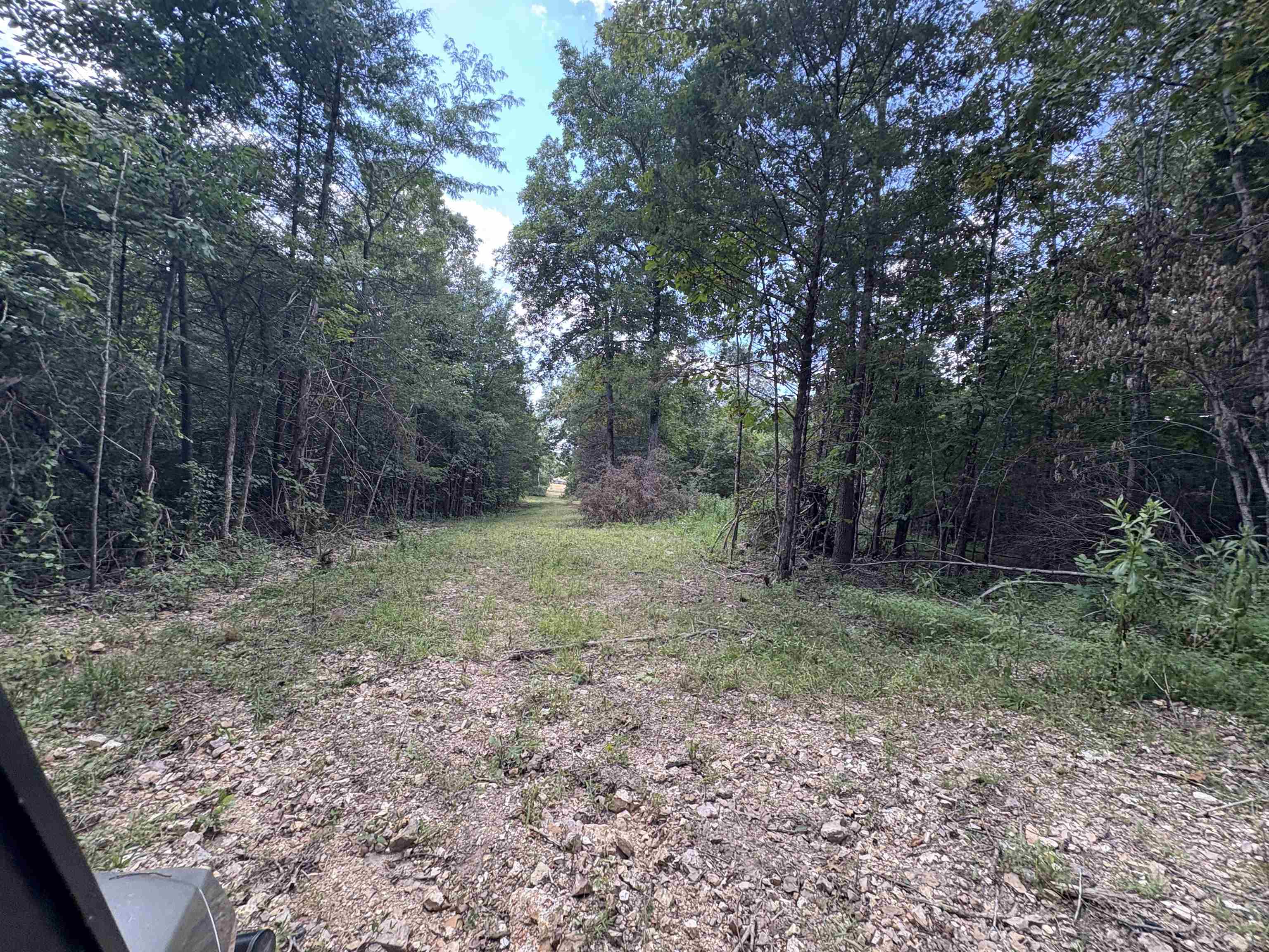 1736 Hwy 354  Hardy, AR
