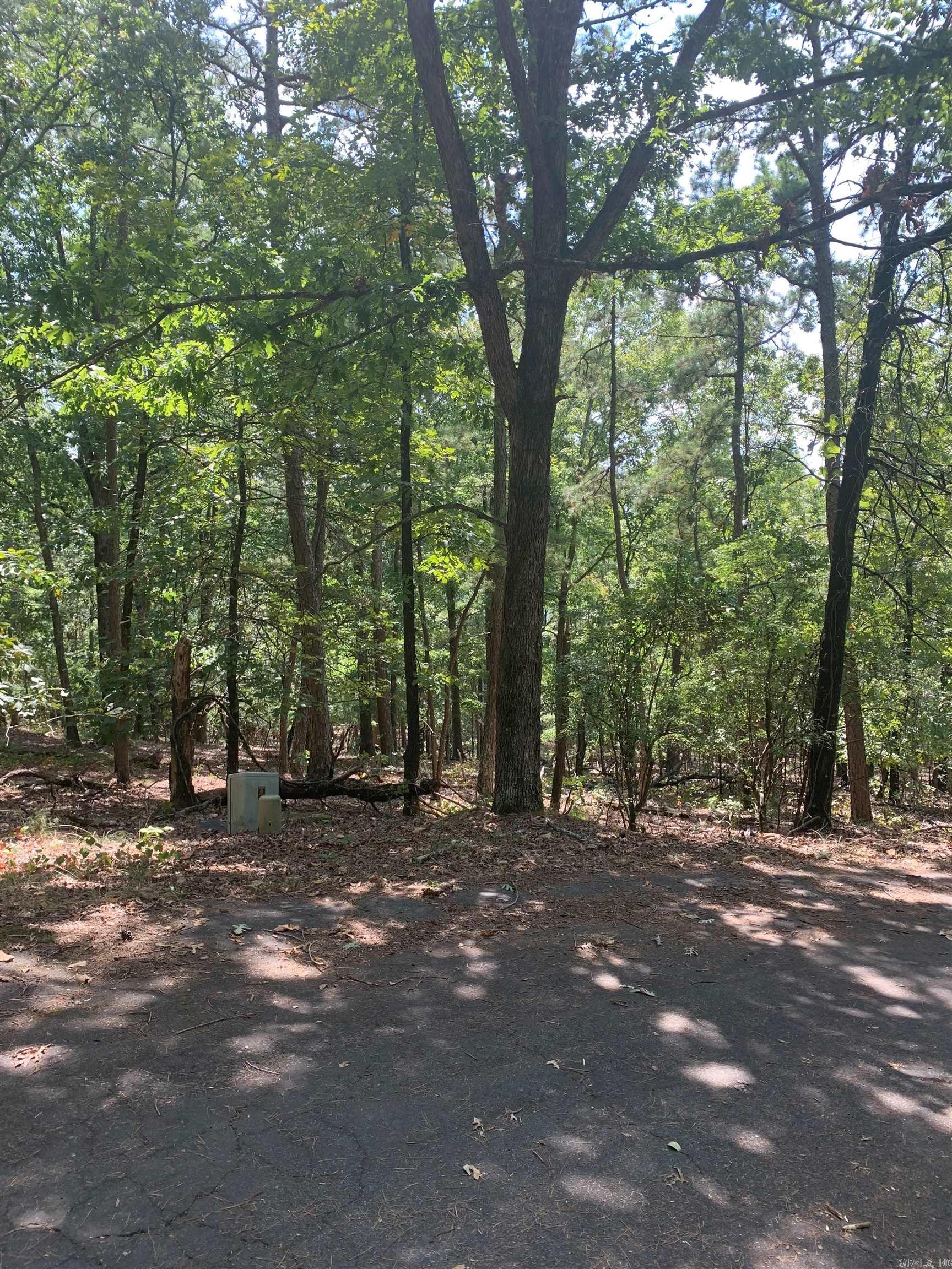 8 La Robla Ln  Hot Springs Village, AR