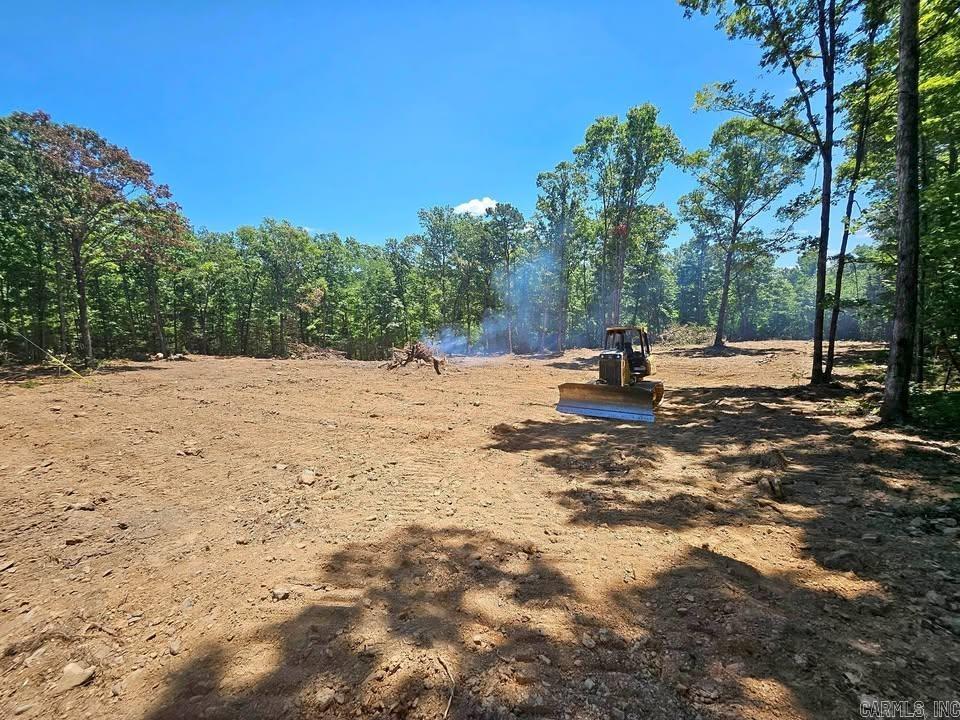 1 Pebble Drive  Clinton, AR