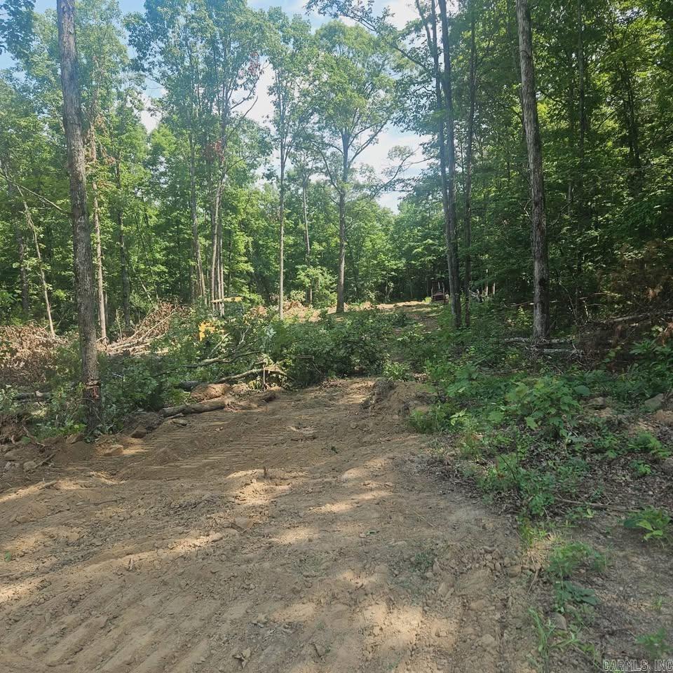 1 Pebble Drive  Clinton, AR