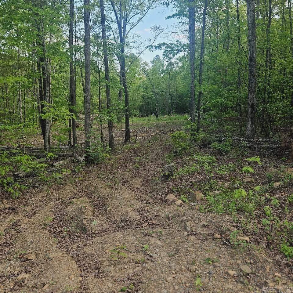 1 Pebble Drive  Clinton, AR