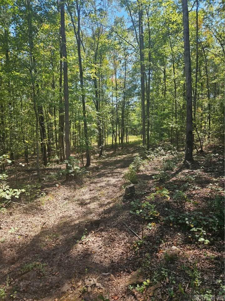 1 Pebble Drive  Clinton, AR