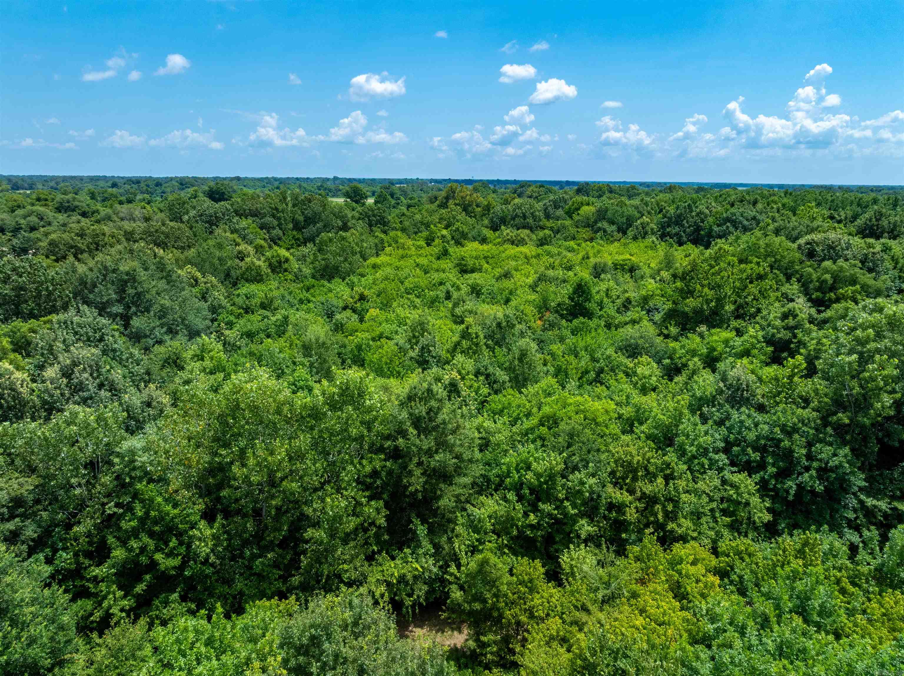  Cox Rd  Biggers, AR