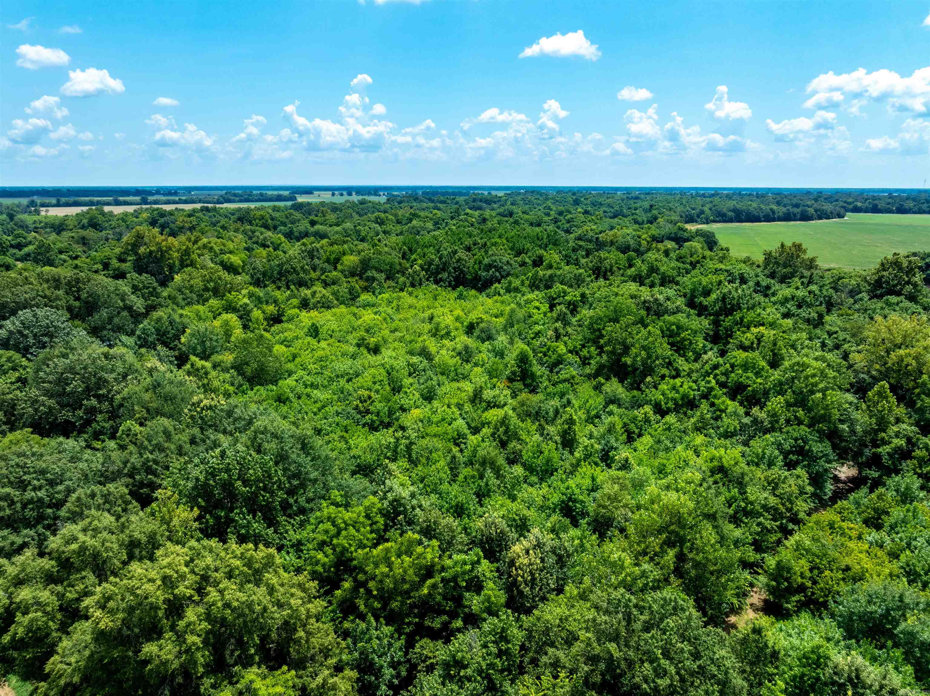  Cox Rd  Biggers, AR