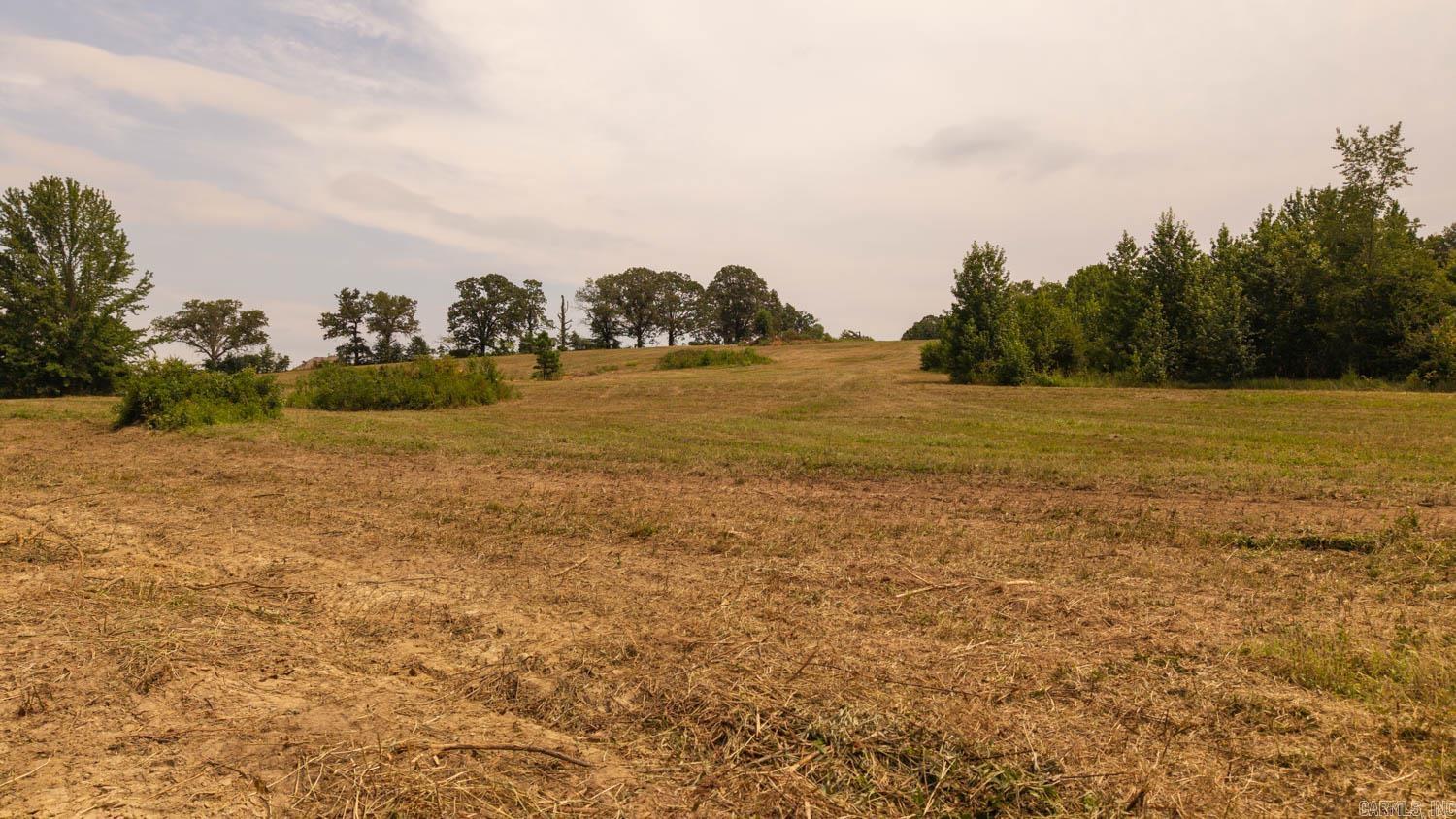 0 Cannaday Flat Road  Hector, AR