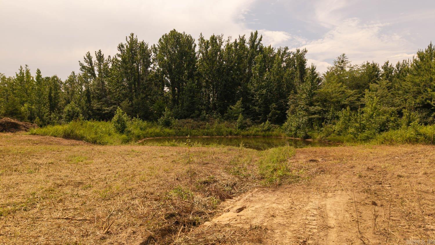 0 Cannaday Flat Road  Hector, AR