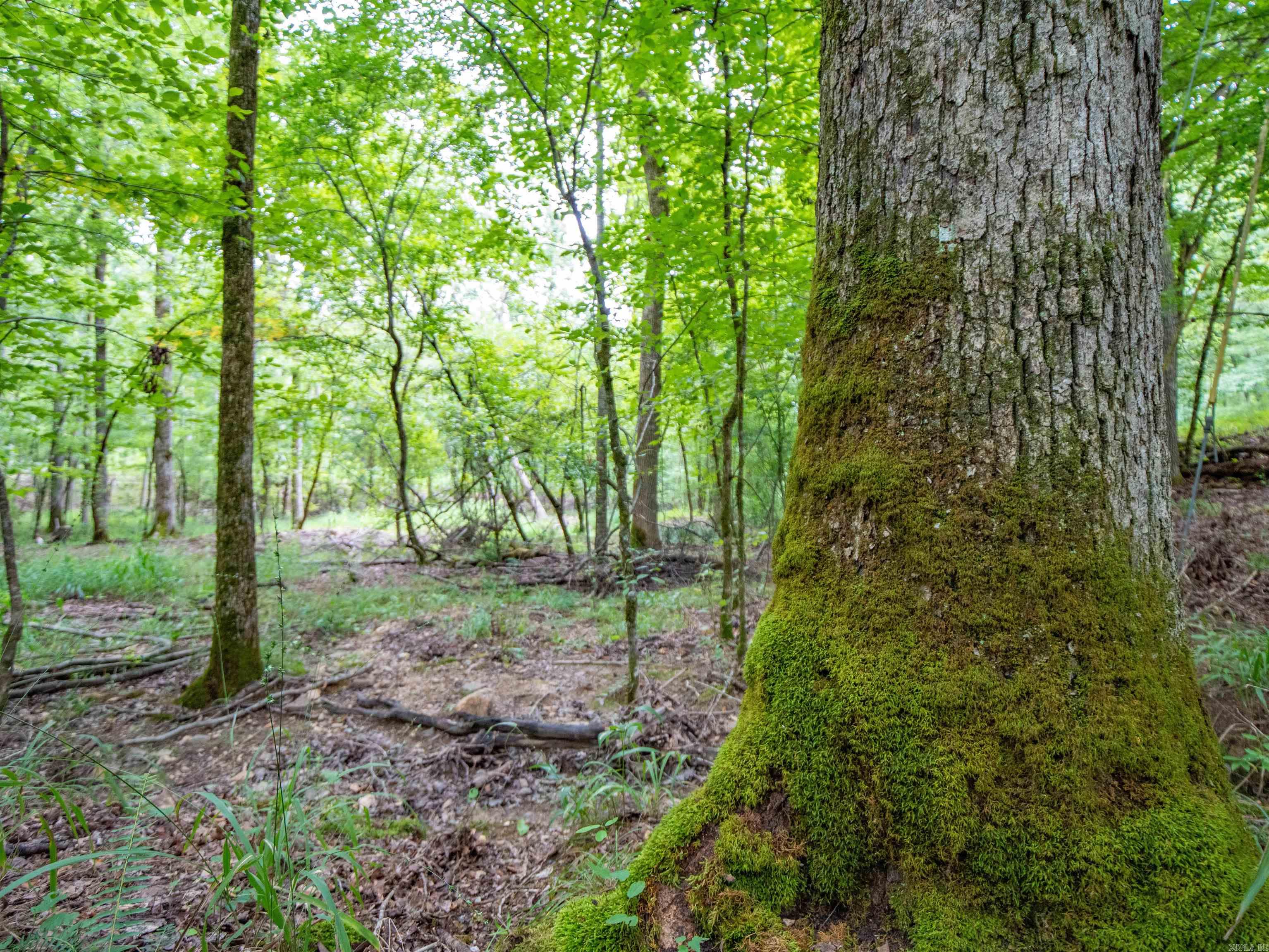 1 Camino  Hot Springs Village, AR