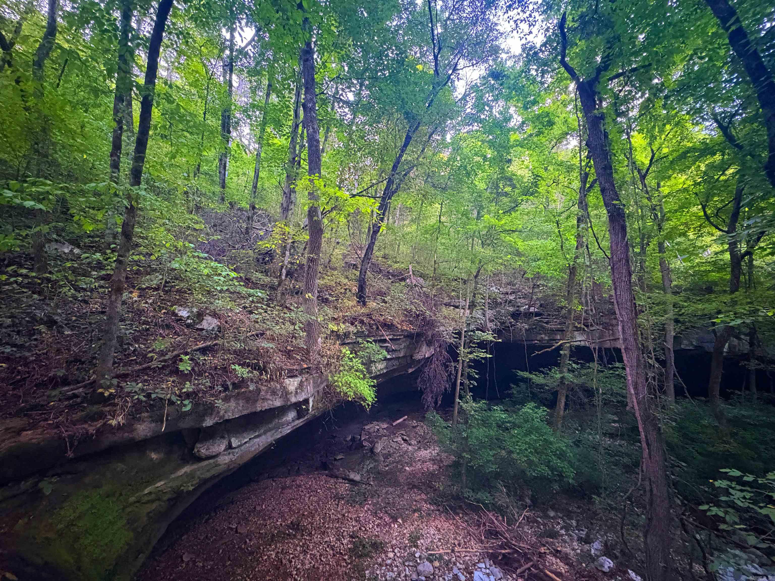 1115 Hillhollow Road  Marshall, AR
