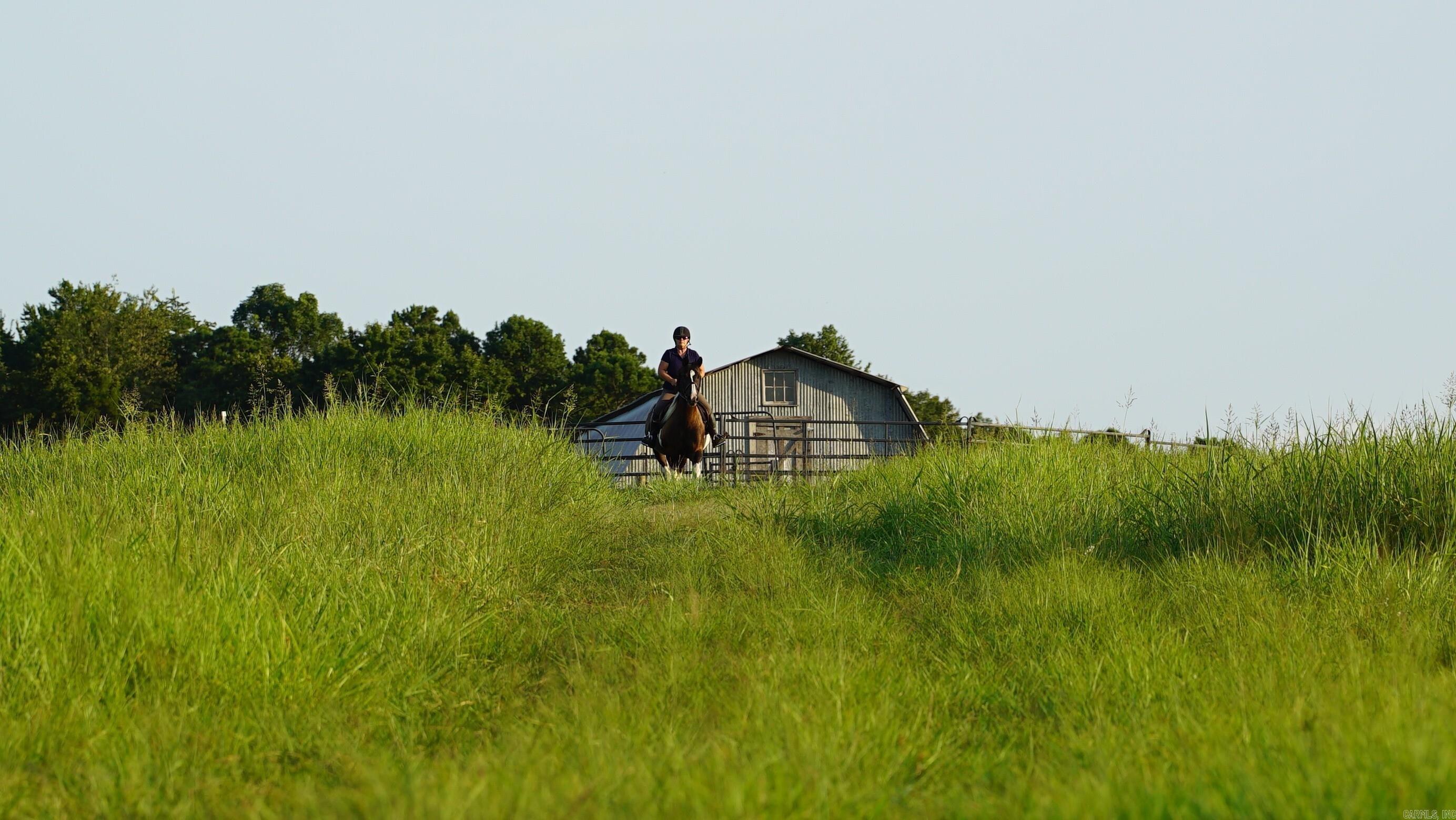 1115 Hillhollow Road  Marshall, AR