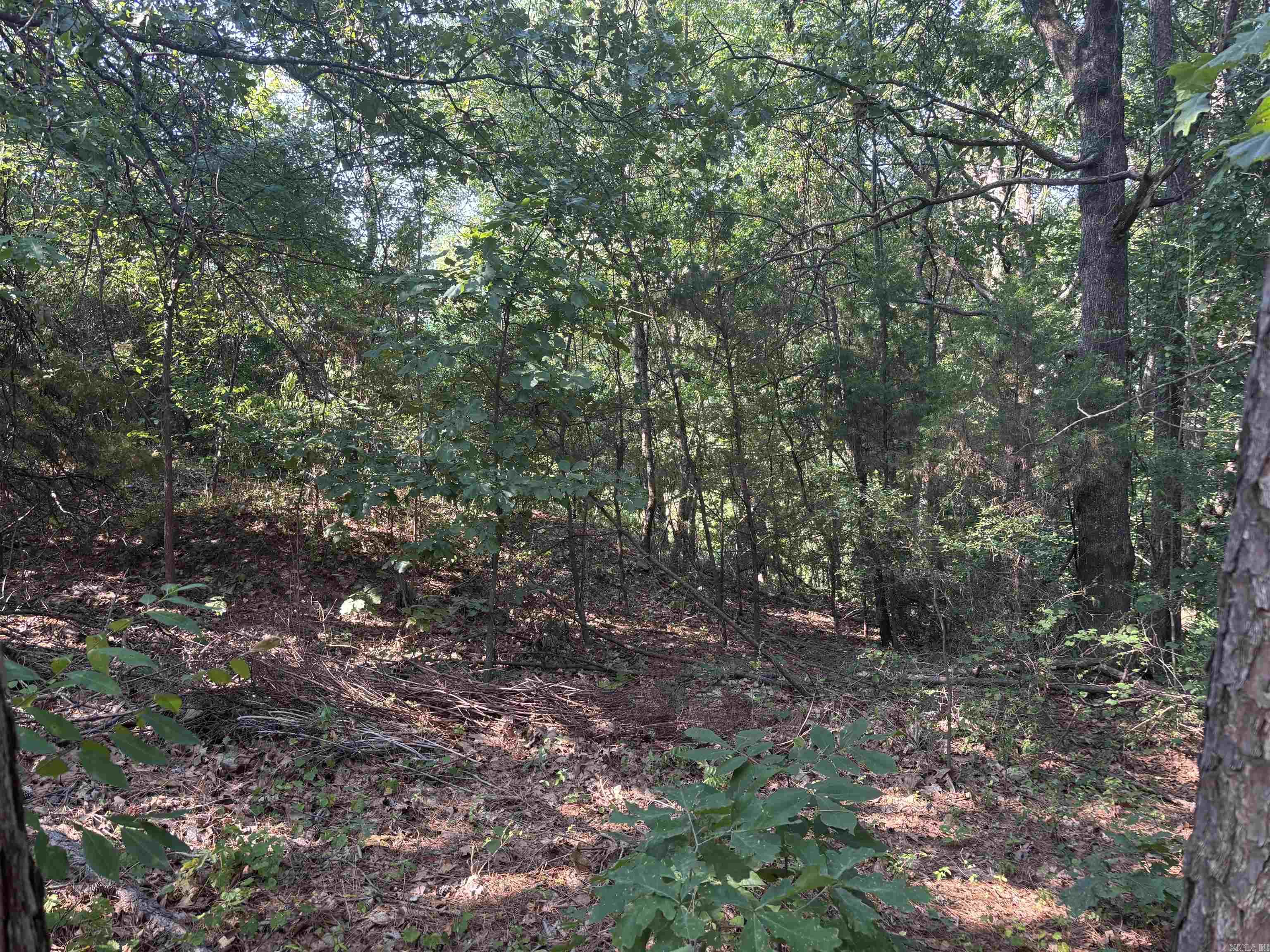 2110 Westport  Little Rock, AR