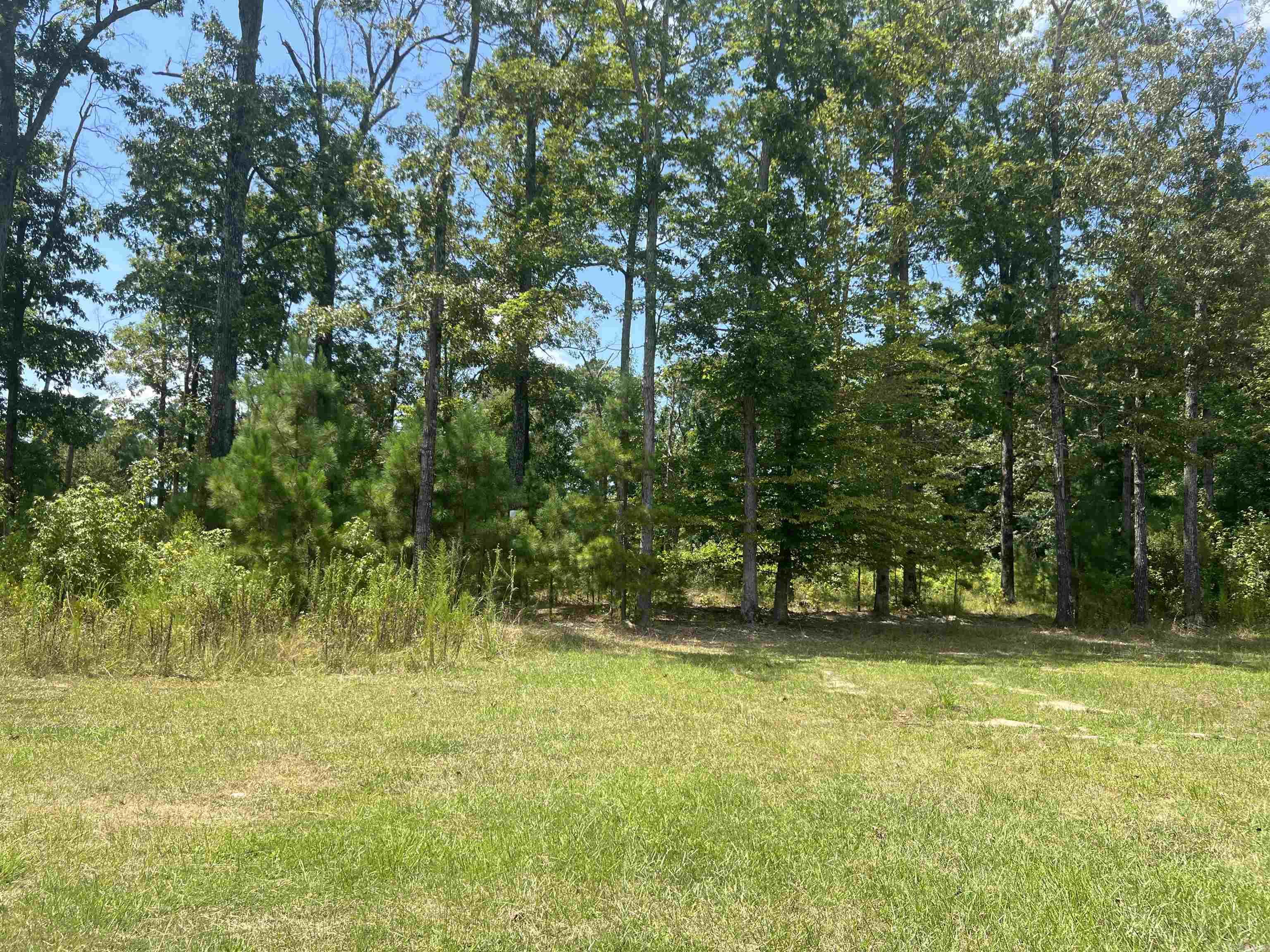 5910 Ramick  Pine Bluff, AR