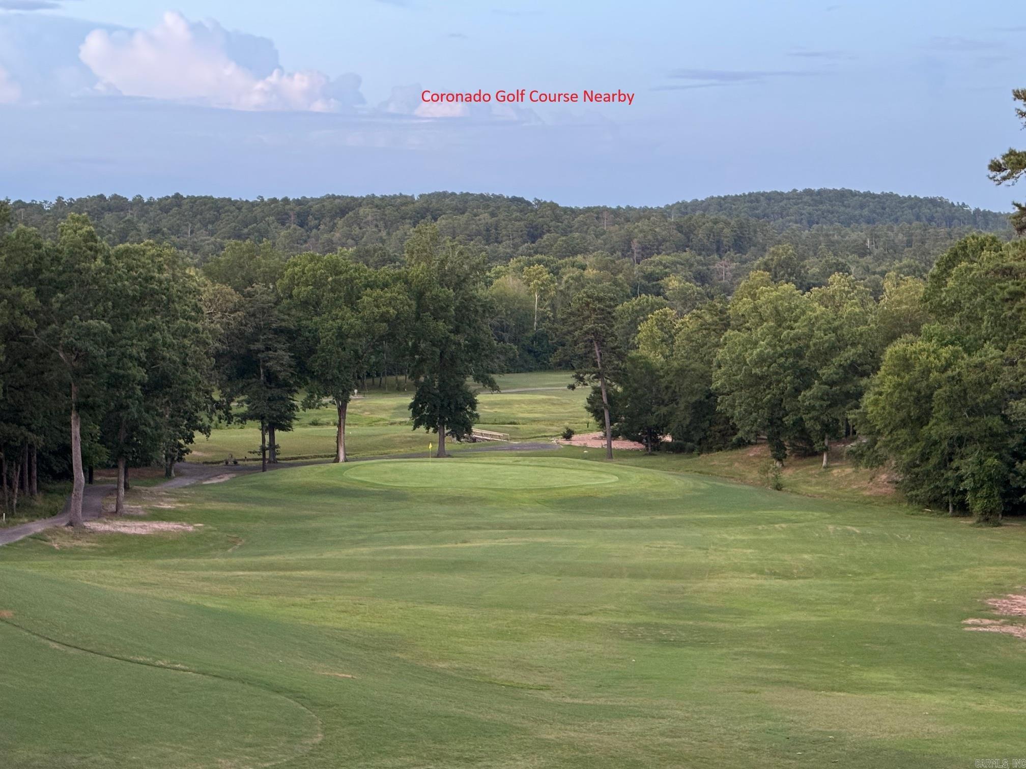 6 ALAVA WAY  Hot Springs Village, AR