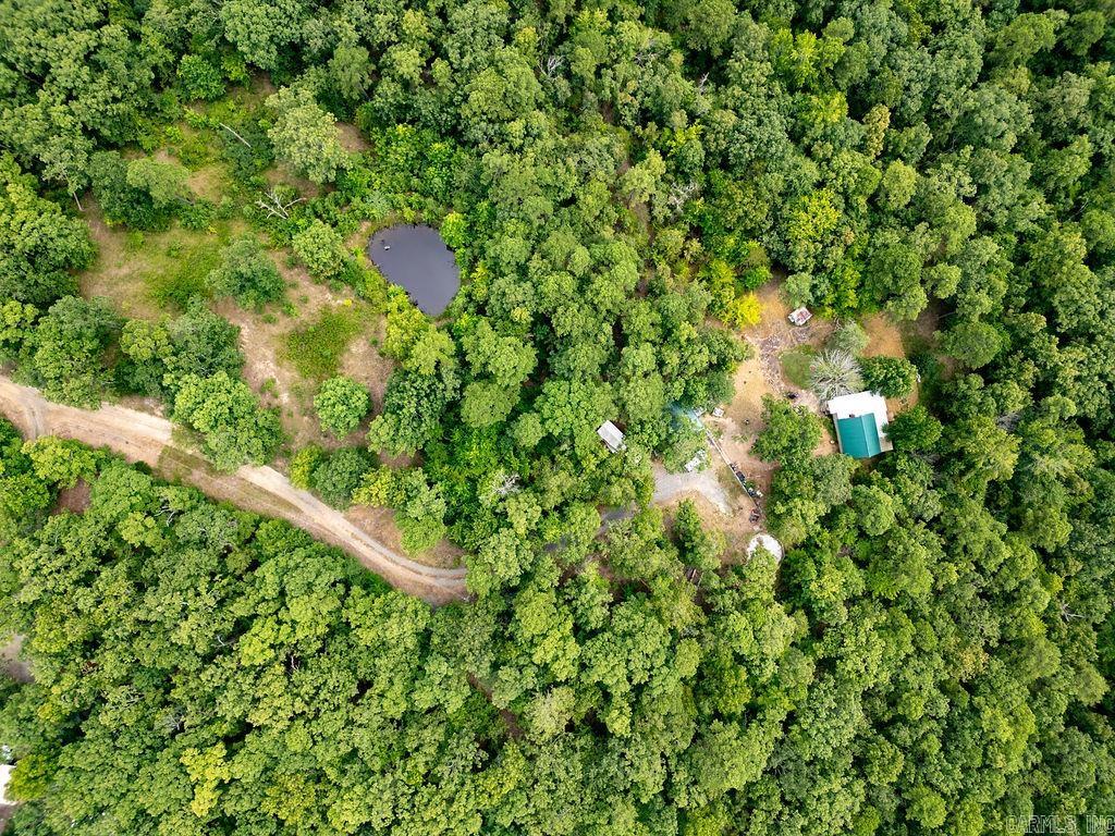 305 Cougar Trl  Clinton, AR