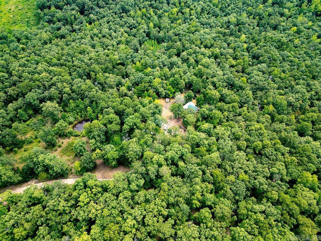 305 Cougar Trl  Clinton, AR