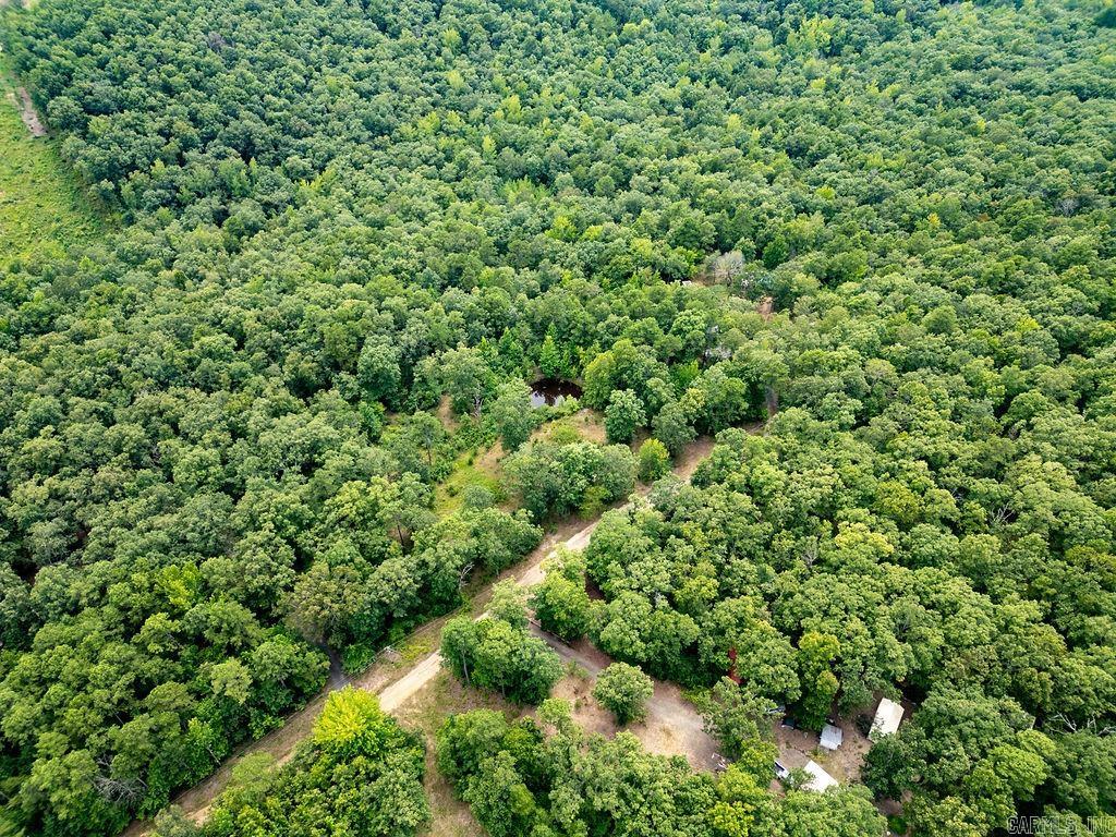 305 Cougar Trl  Clinton, AR
