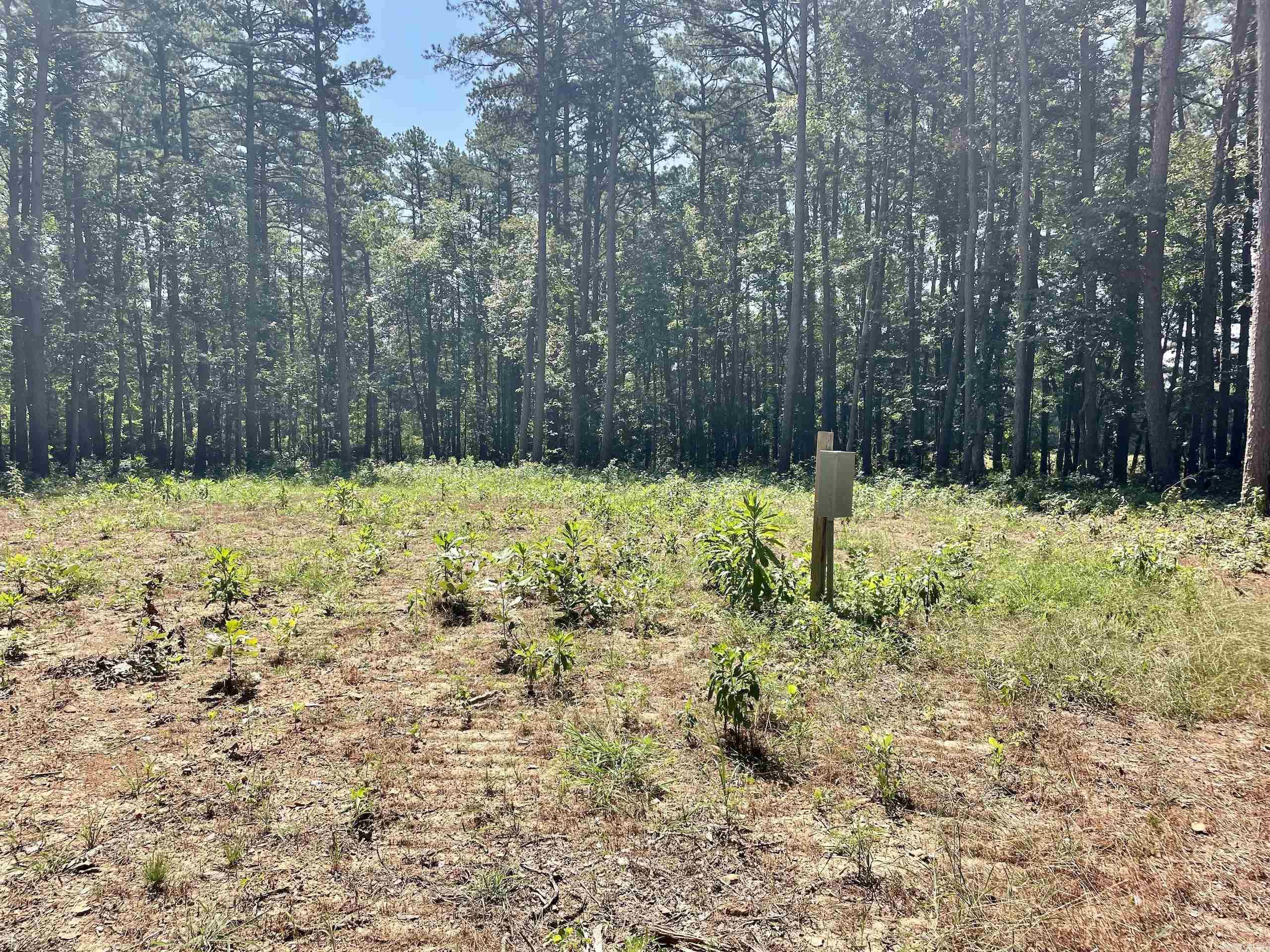 16519 Highway 16 W  Clinton, AR