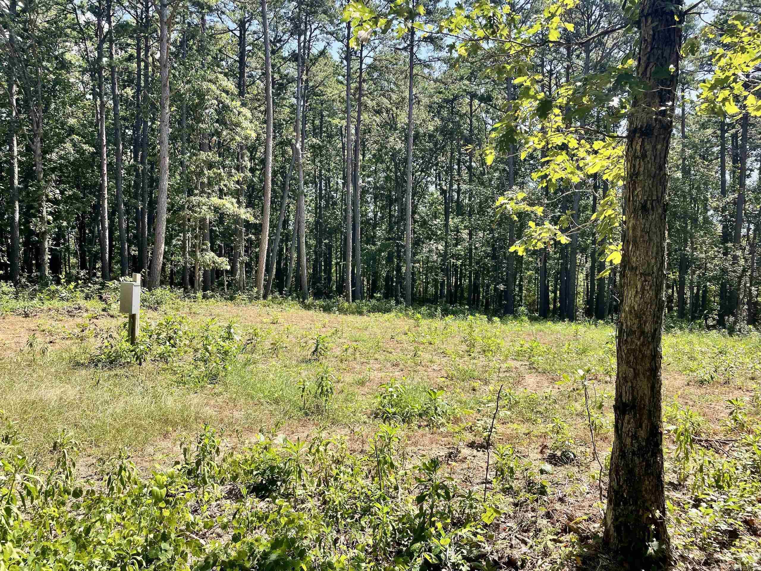 16519 Highway 16 W  Clinton, AR