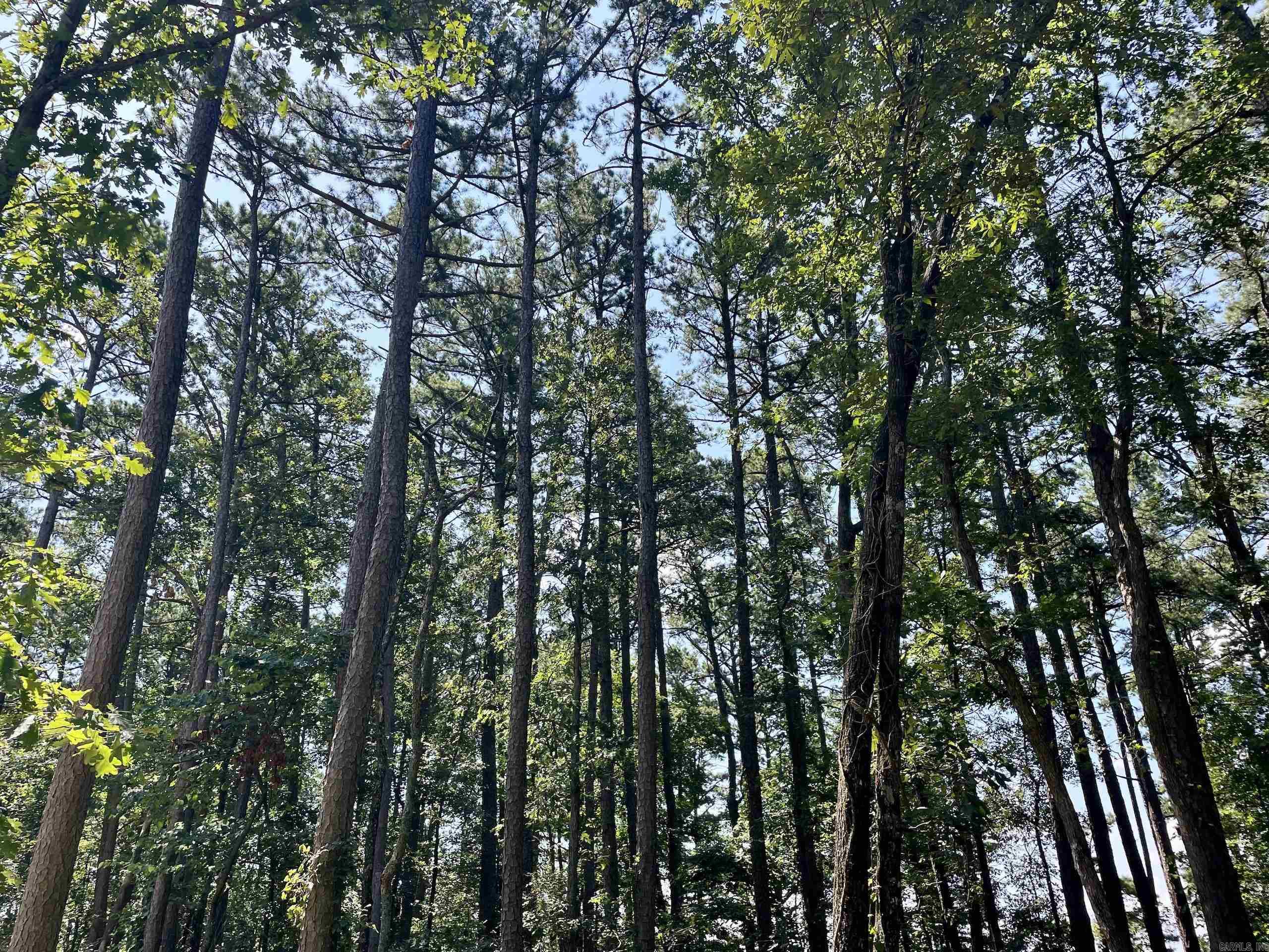 16519 Highway 16 W  Clinton, AR