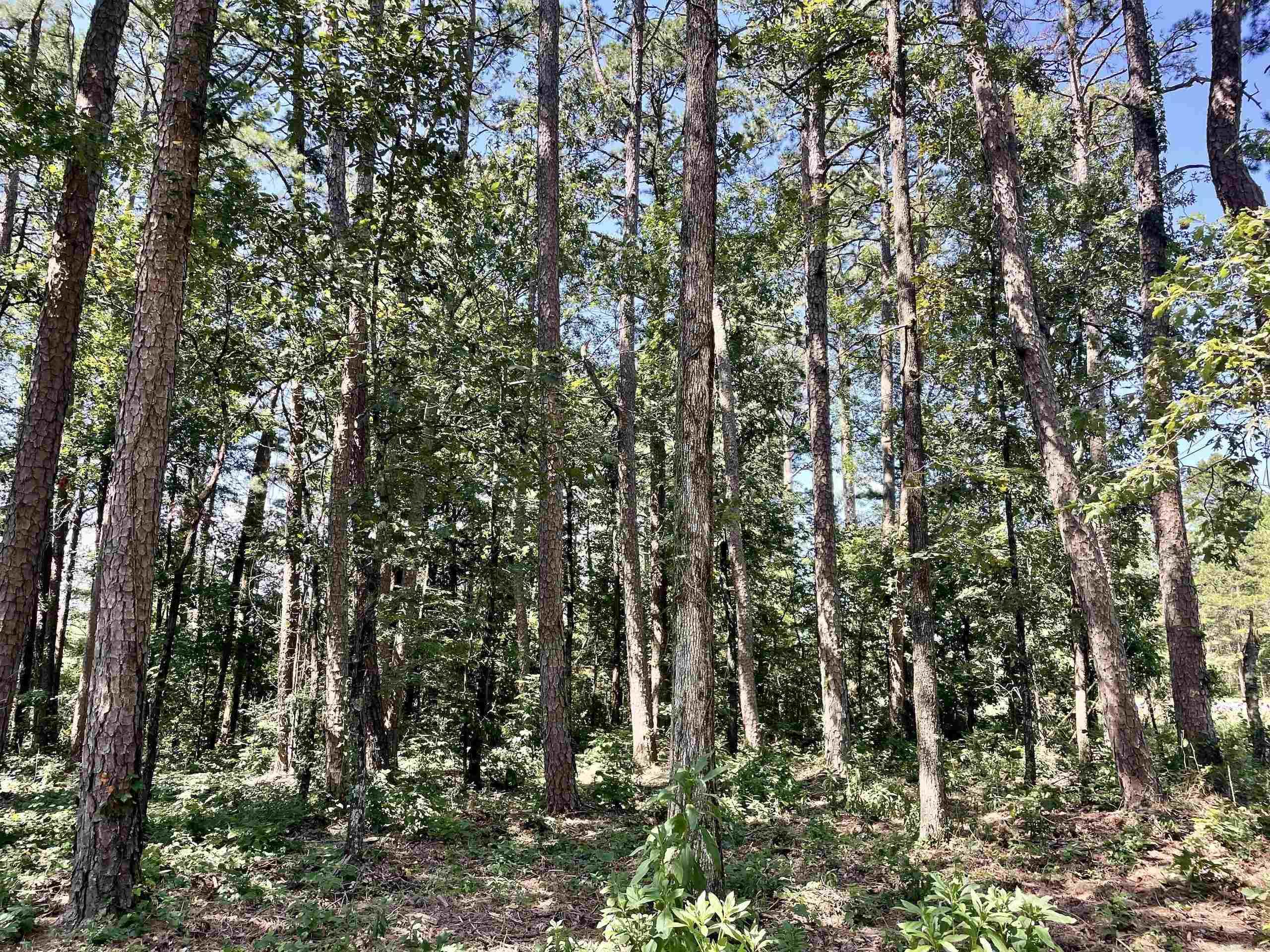 16519 Highway 16 W  Clinton, AR
