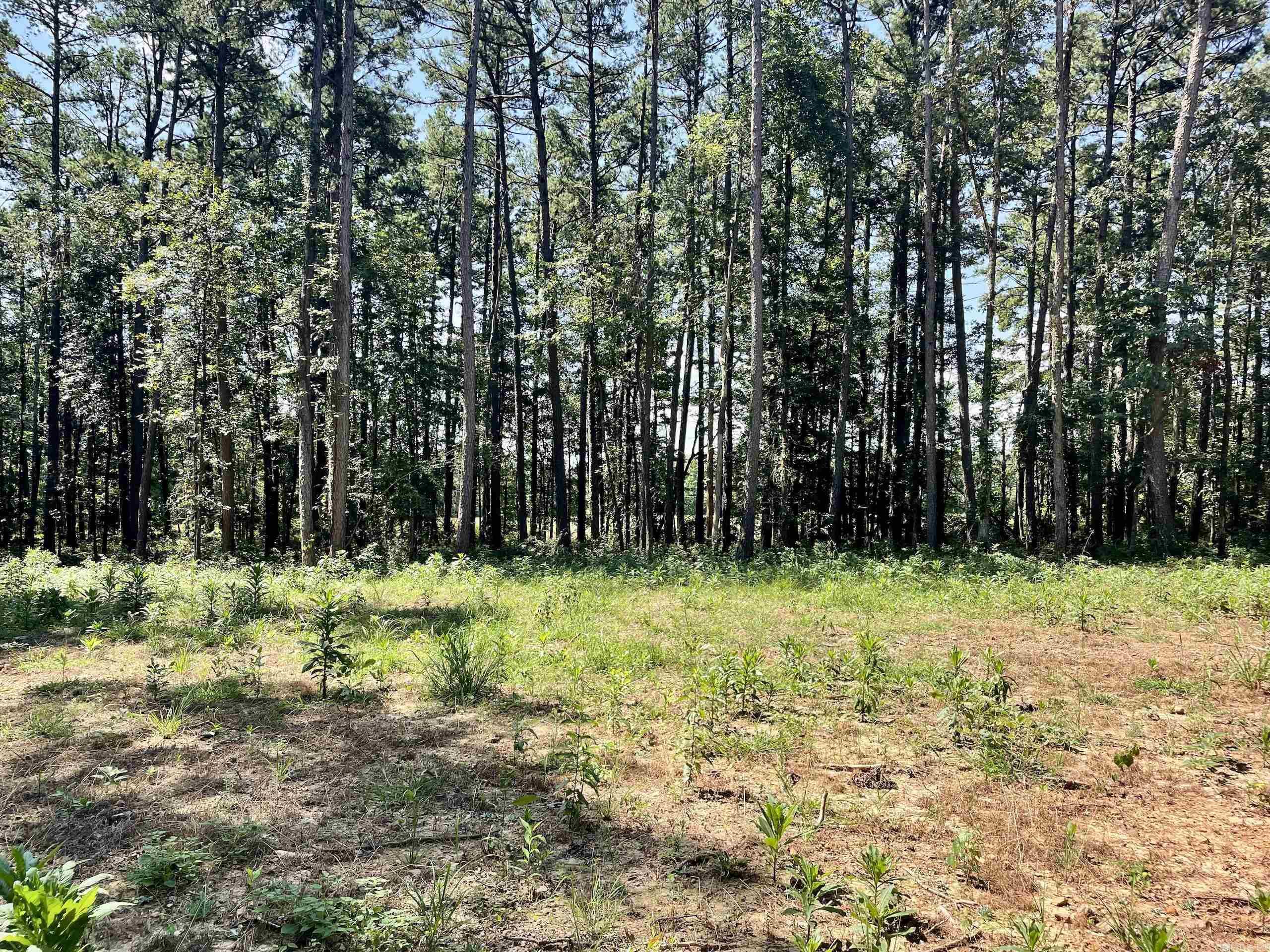 16519 Highway 16 W  Clinton, AR