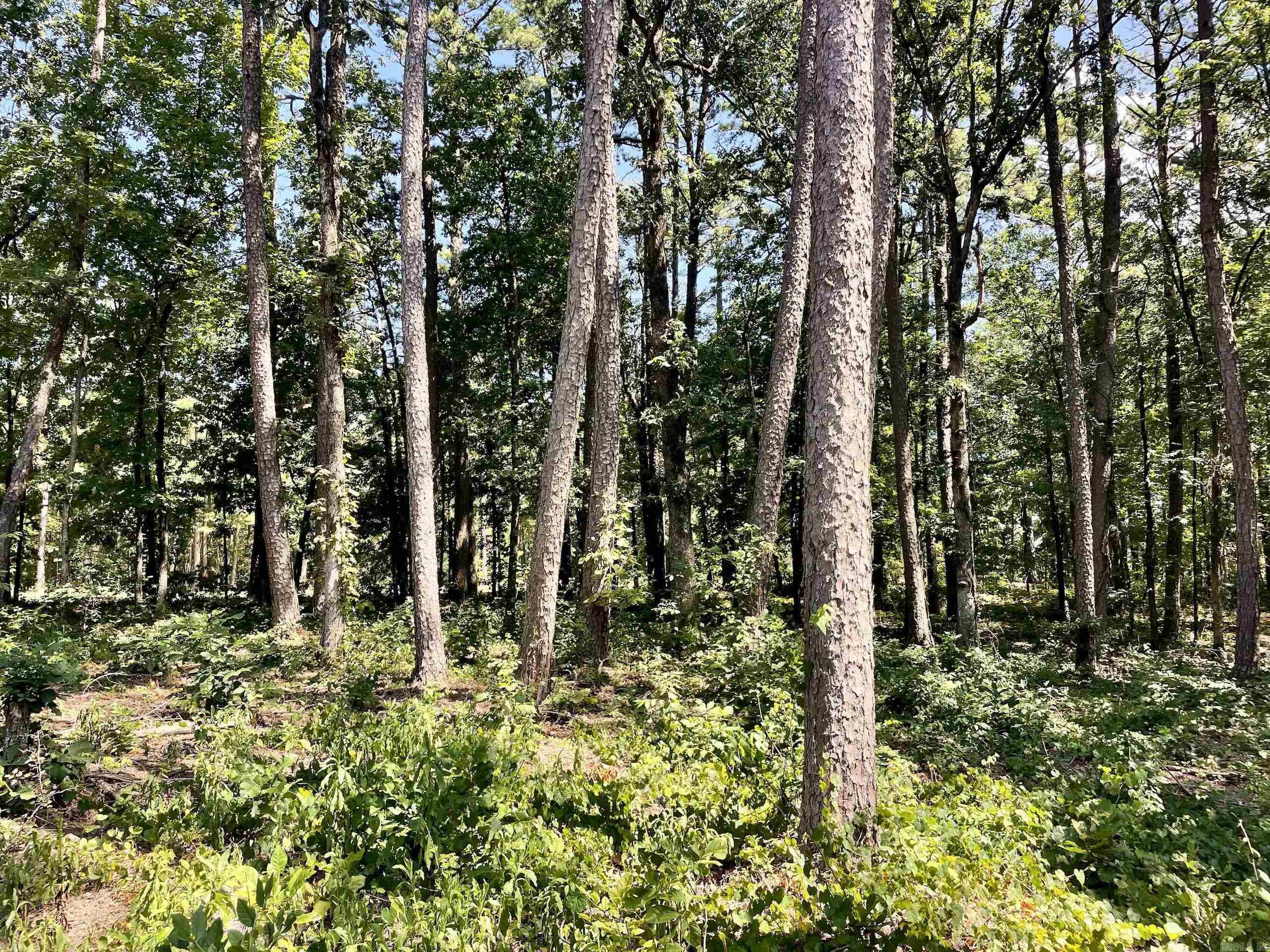16519 Highway 16 W  Clinton, AR