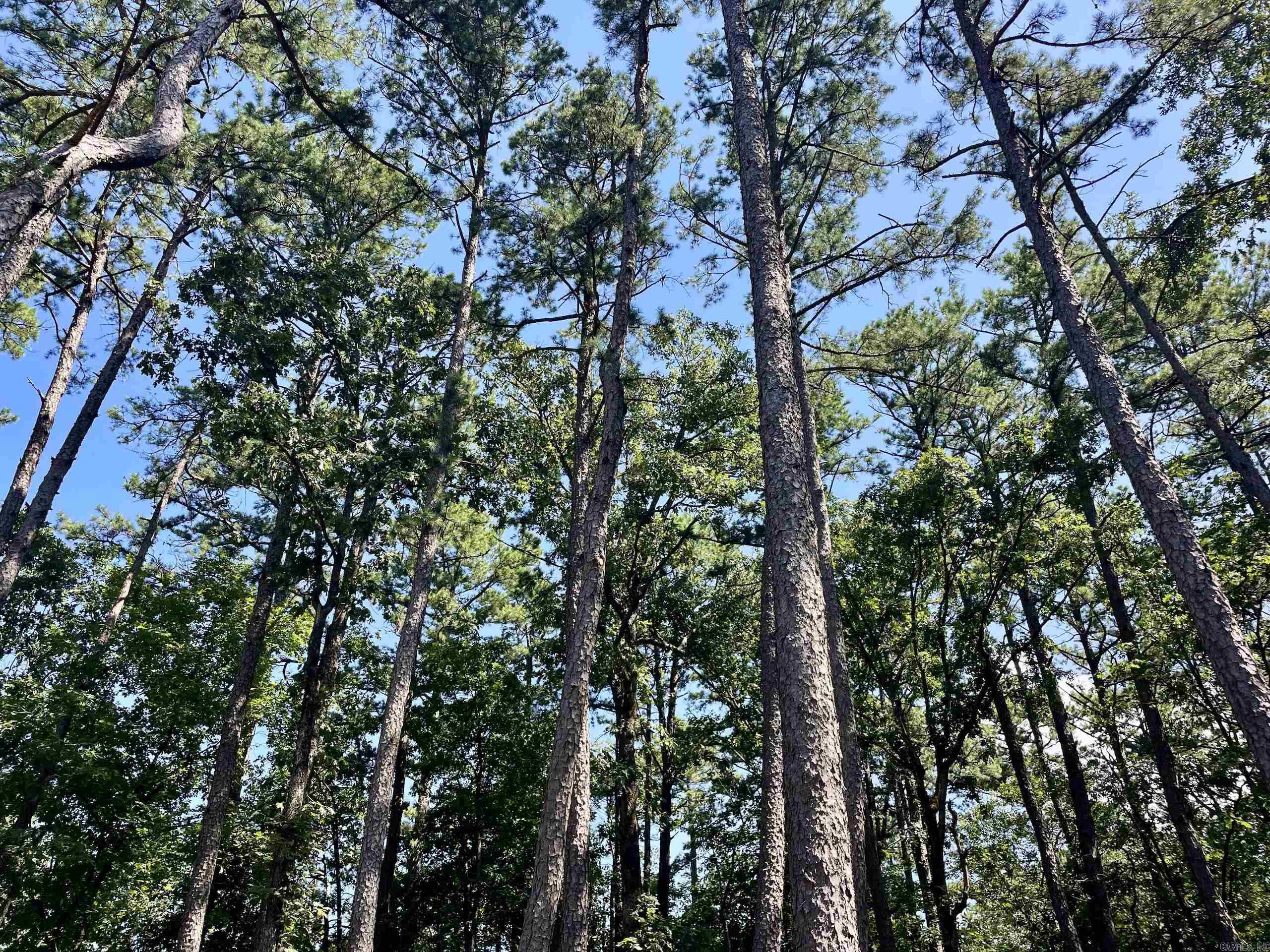 16519 Highway 16 W  Clinton, AR