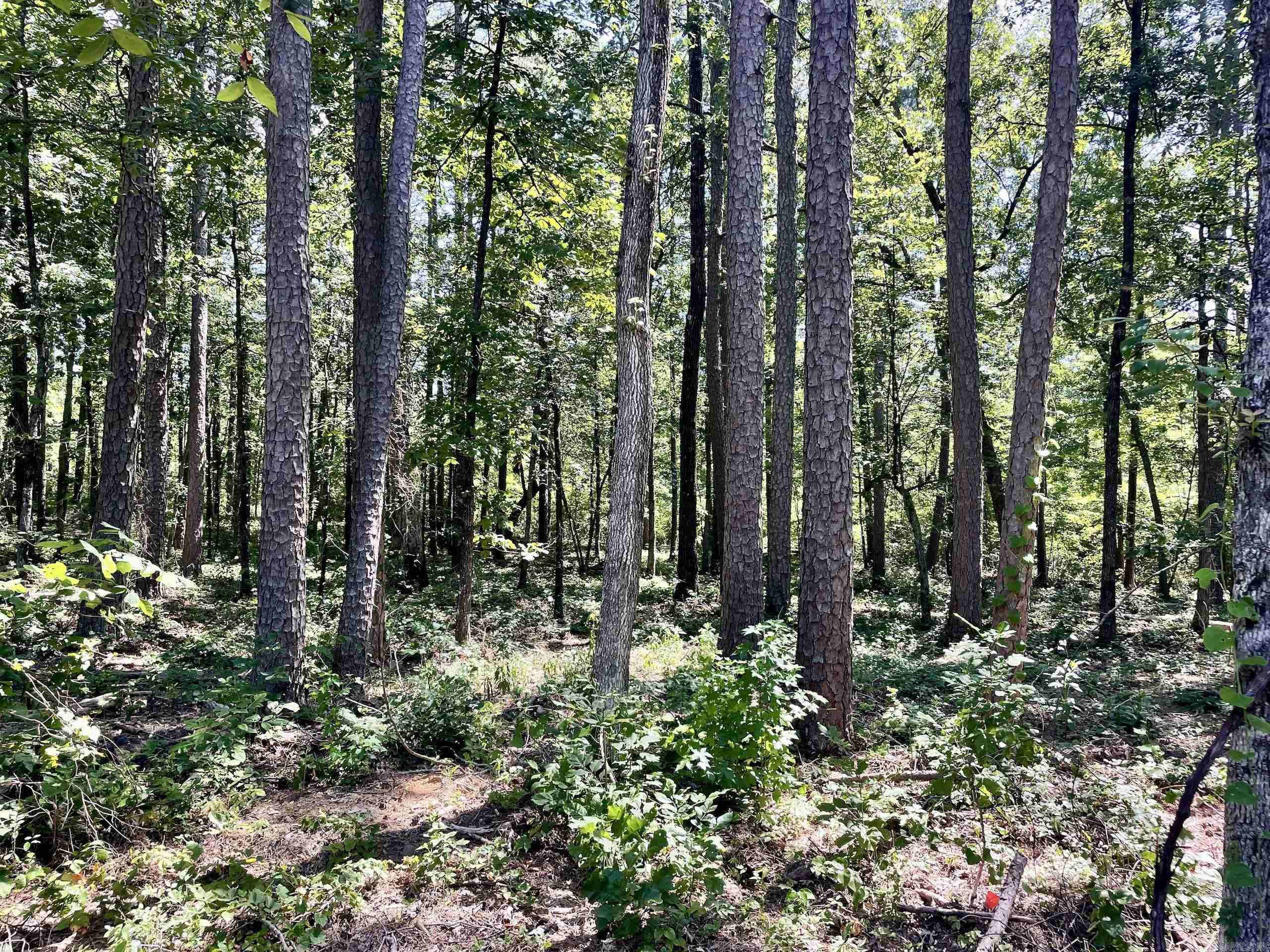 16519 Highway 16 W  Clinton, AR