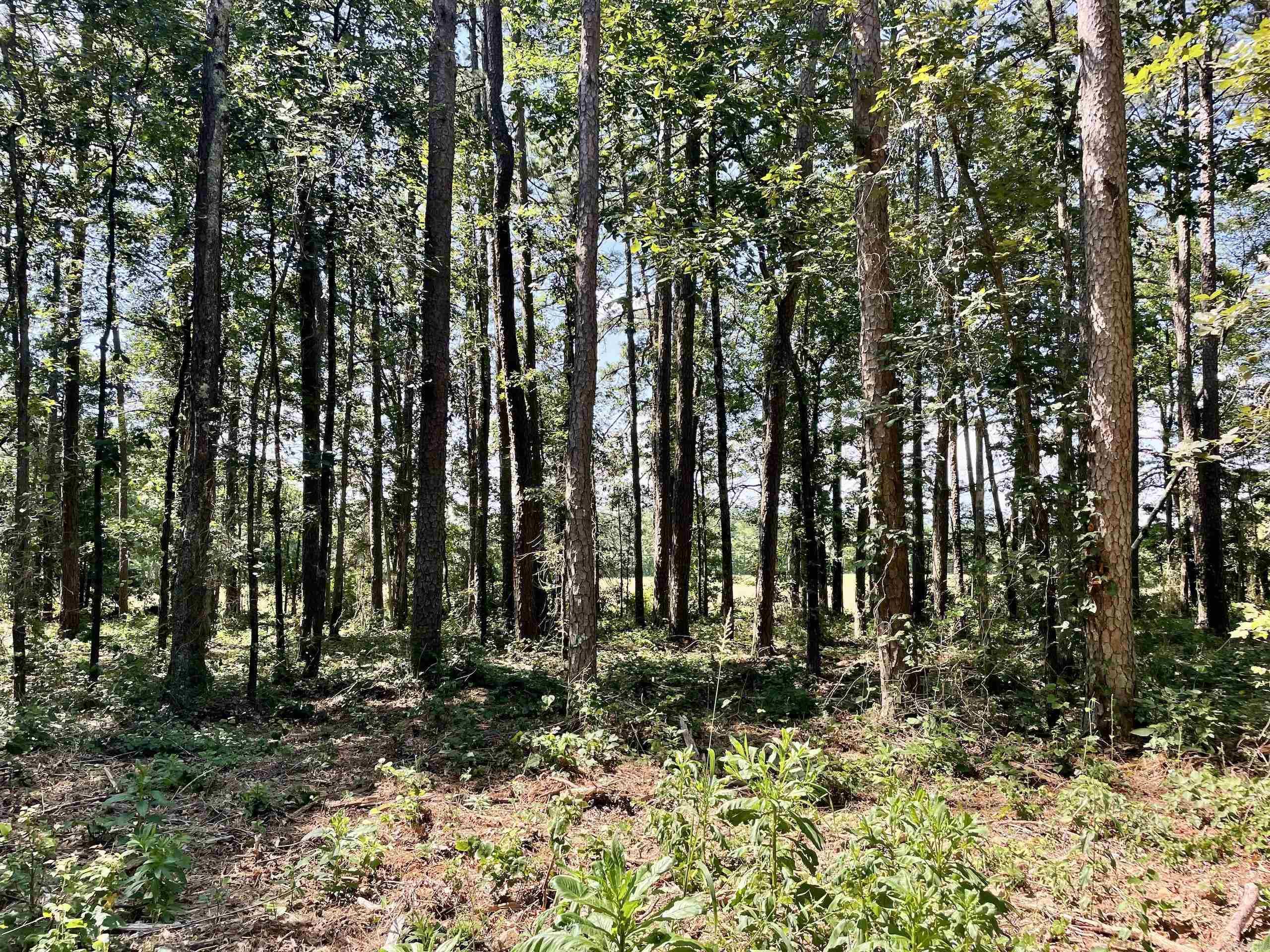 16519 Highway 16 W  Clinton, AR