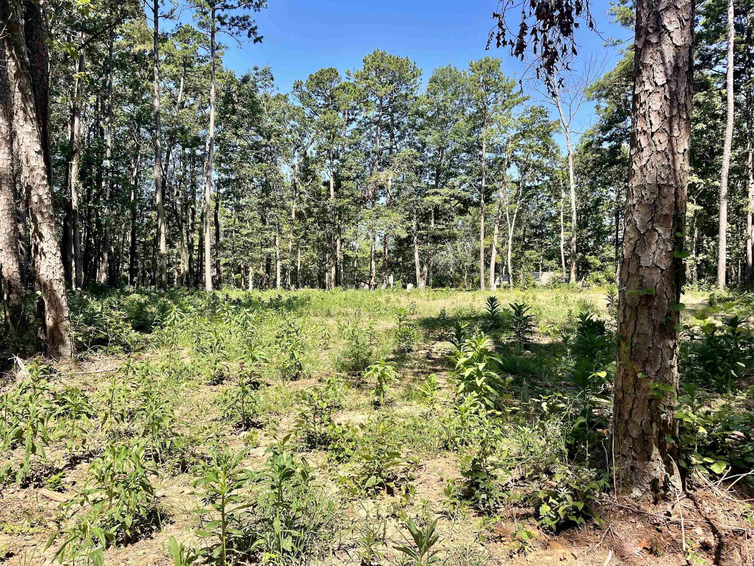 16519 Highway 16 W  Clinton, AR