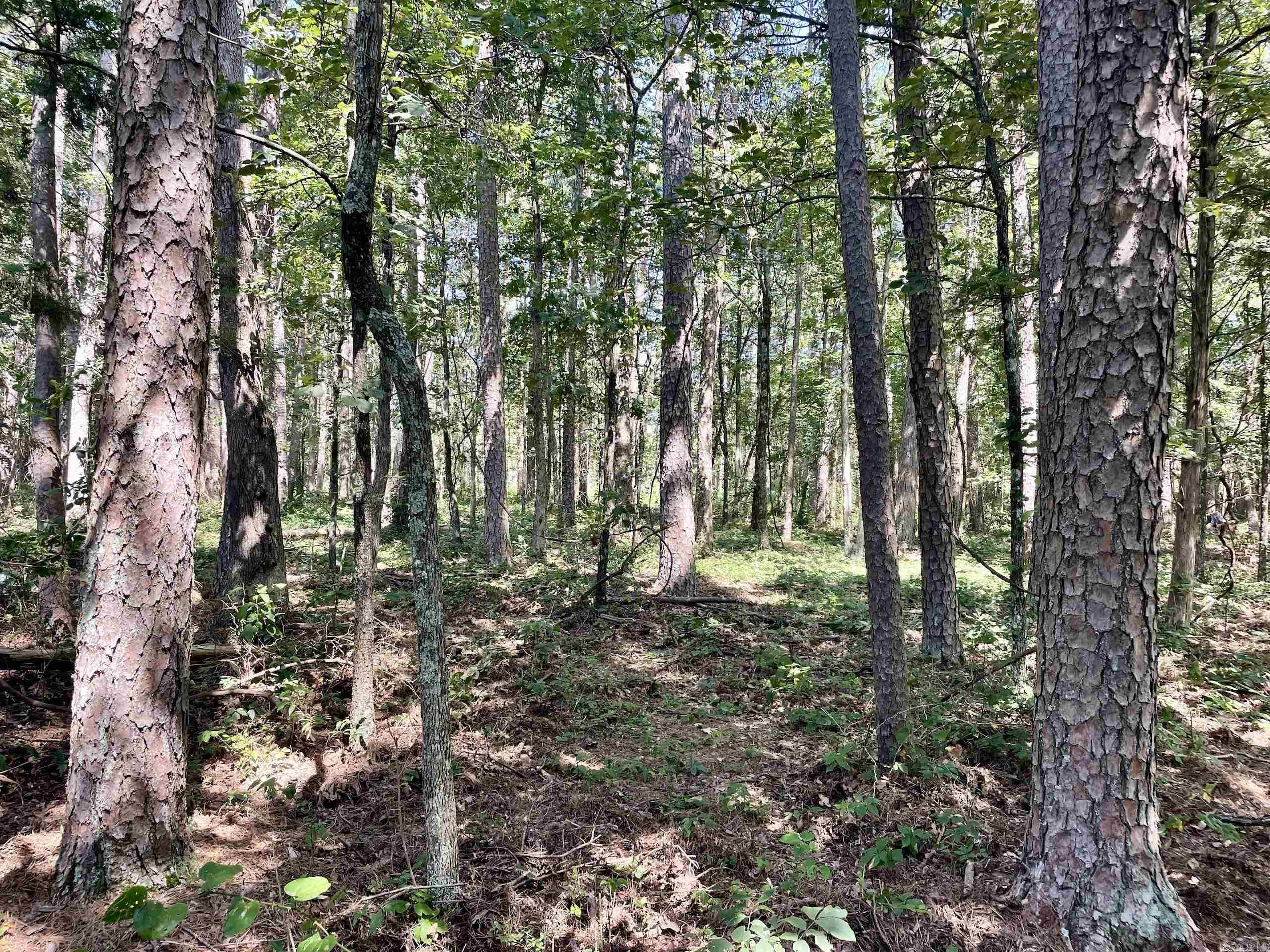 16519 Highway 16 W  Clinton, AR