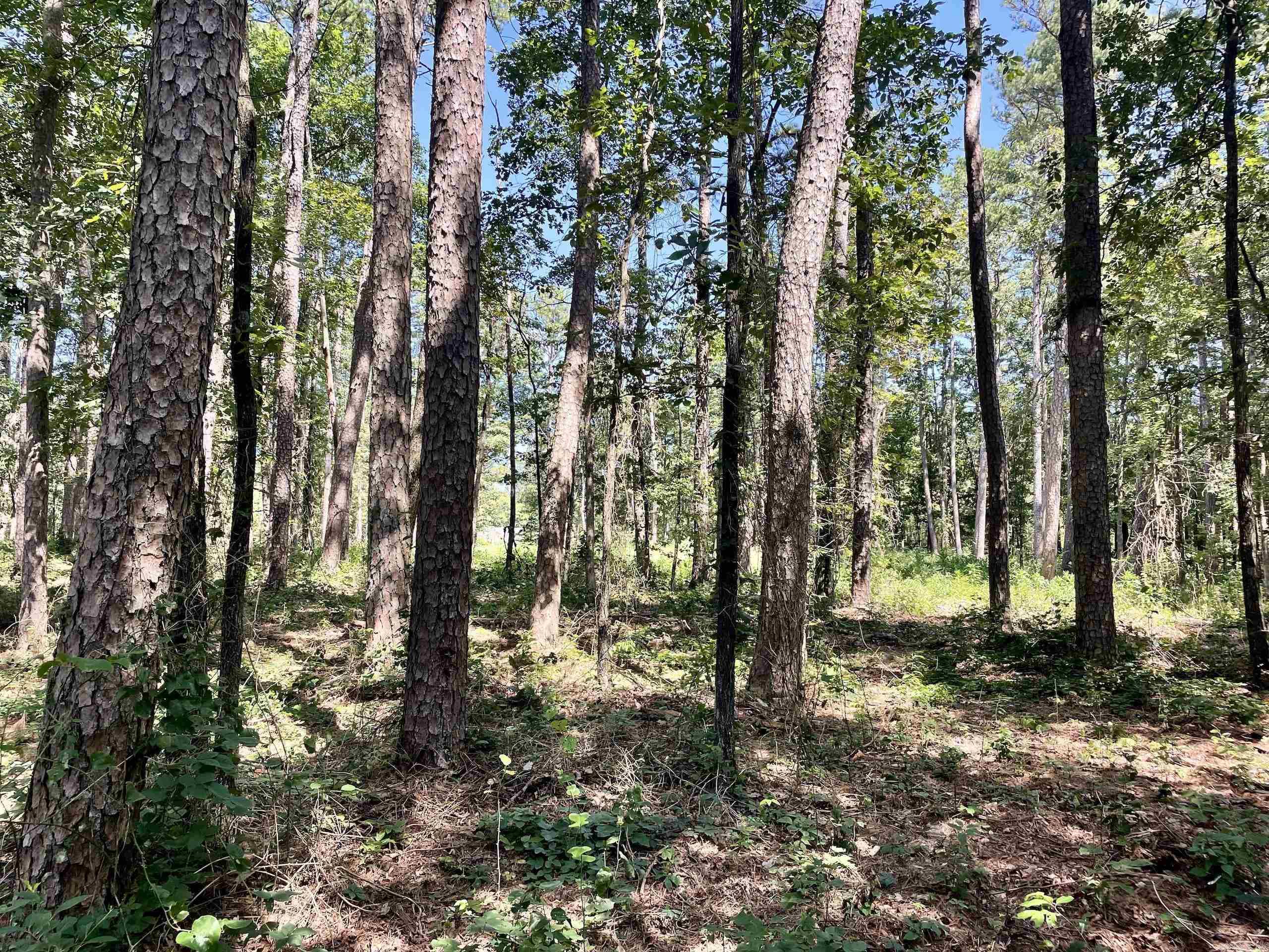 16519 Highway 16 W  Clinton, AR